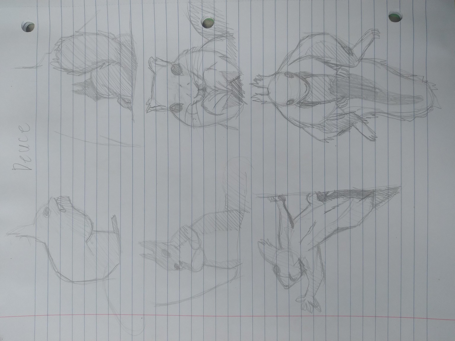 Squirrels and Exercise. - image 1 - student project