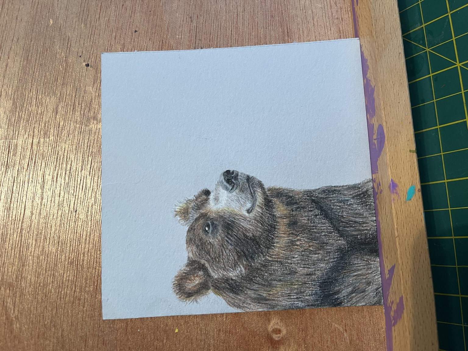 Bear - image 1 - student project