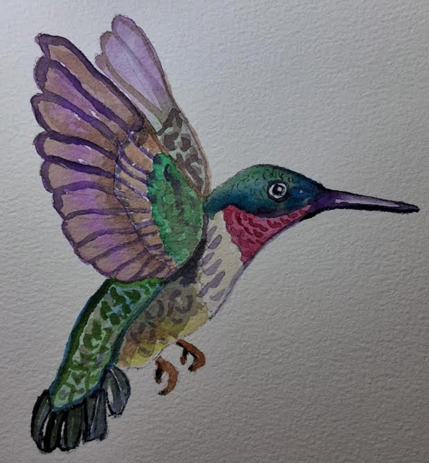 Hummingbird01 - image 1 - student project
