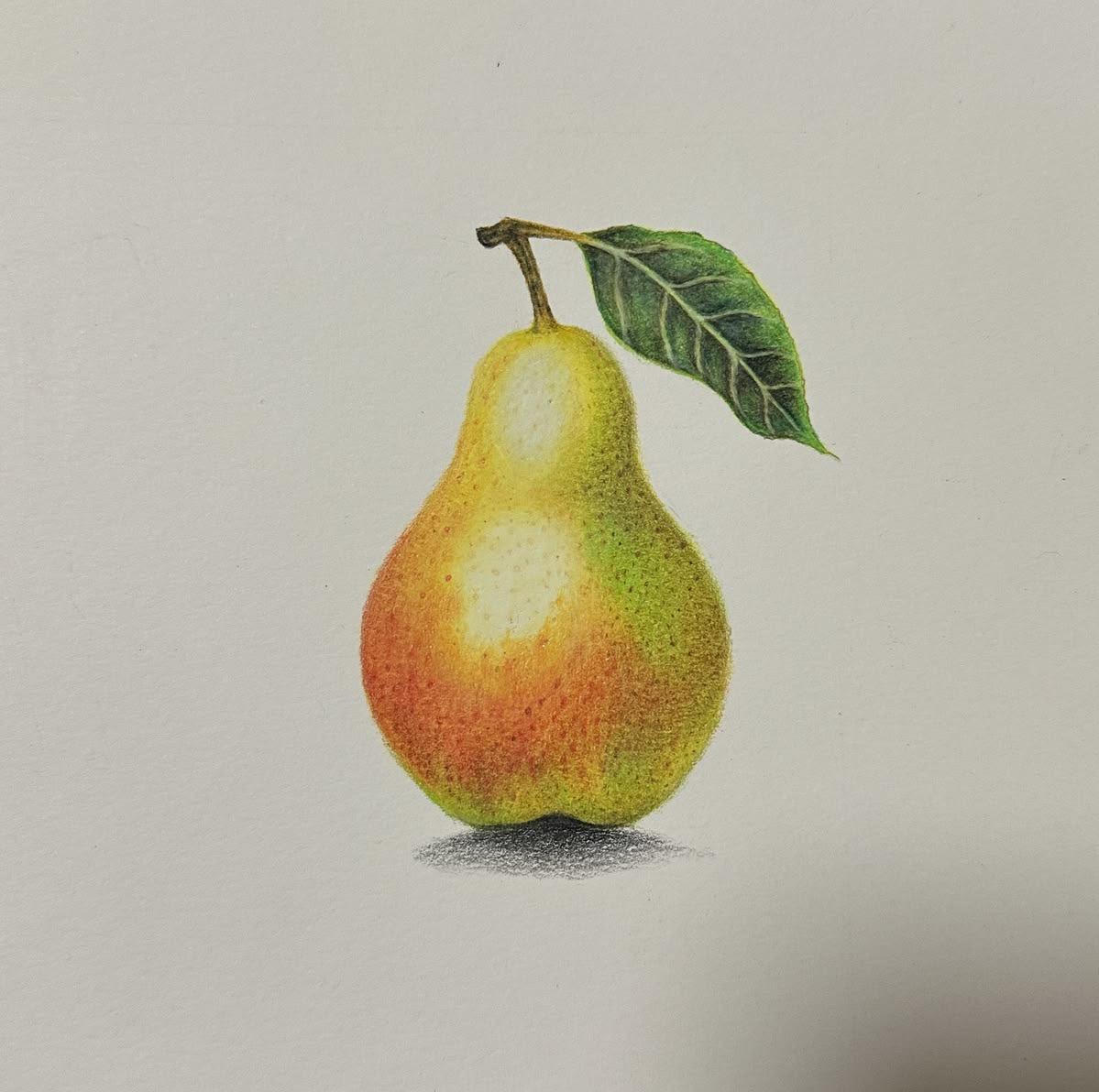 Sphere and Pear using prismacolor pencils - image 2 - student project