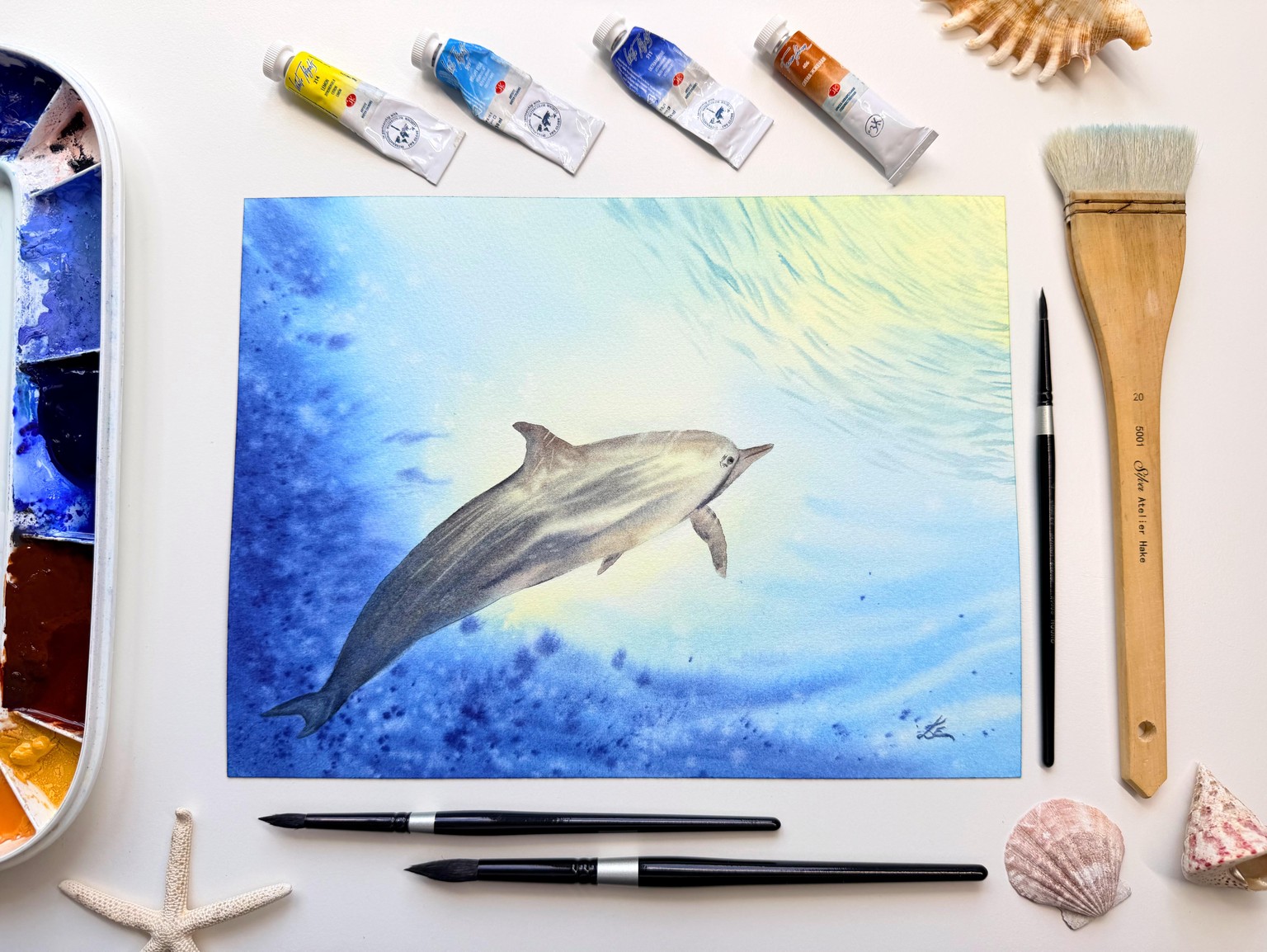 Dolphin Class - My Project - image 1 - student project
