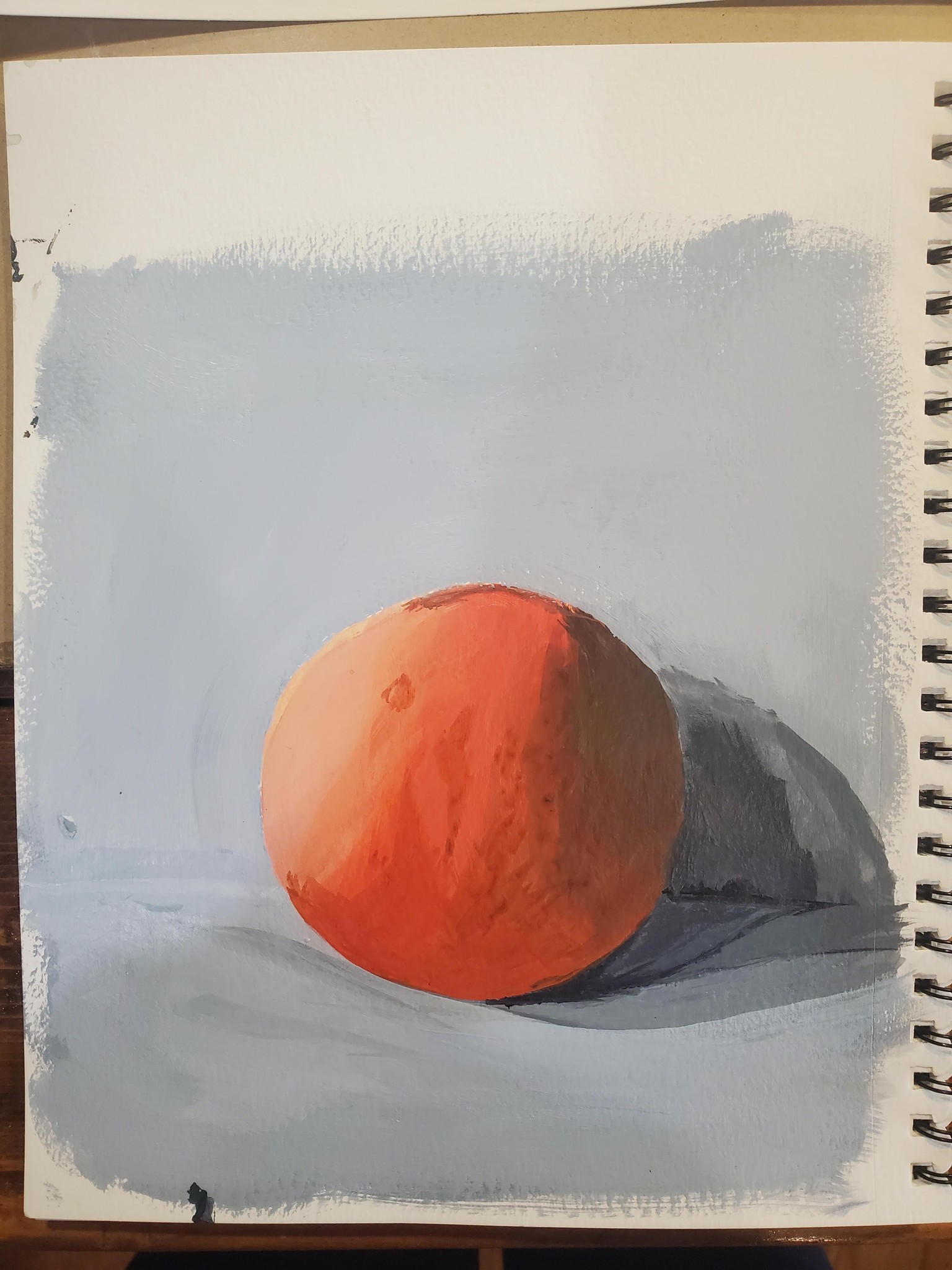My orange and landscape - image 1 - student project