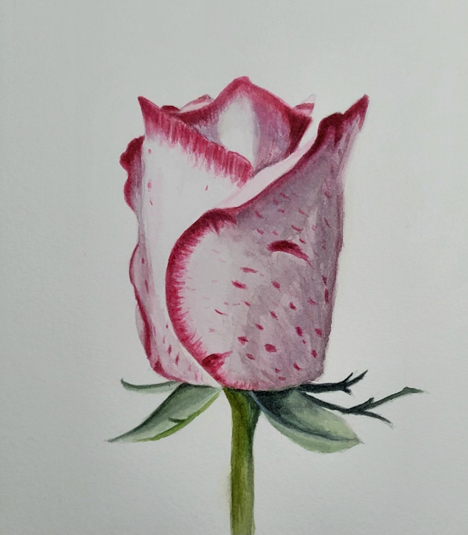 Rose Bud - image 1 - student project