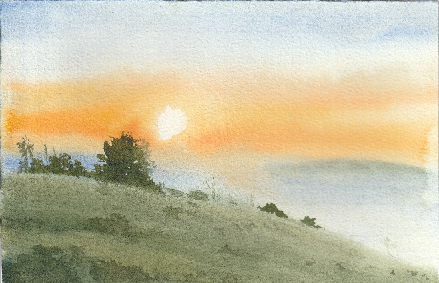 My journey learnig watercolor! - image 2 - student project