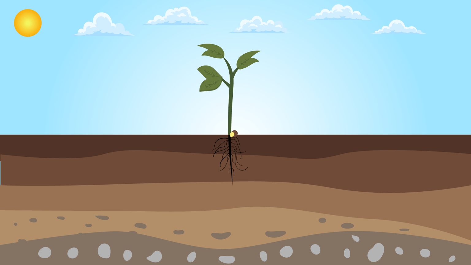 Design a plant (everything designed by me except the clouds) - image 1 - student project