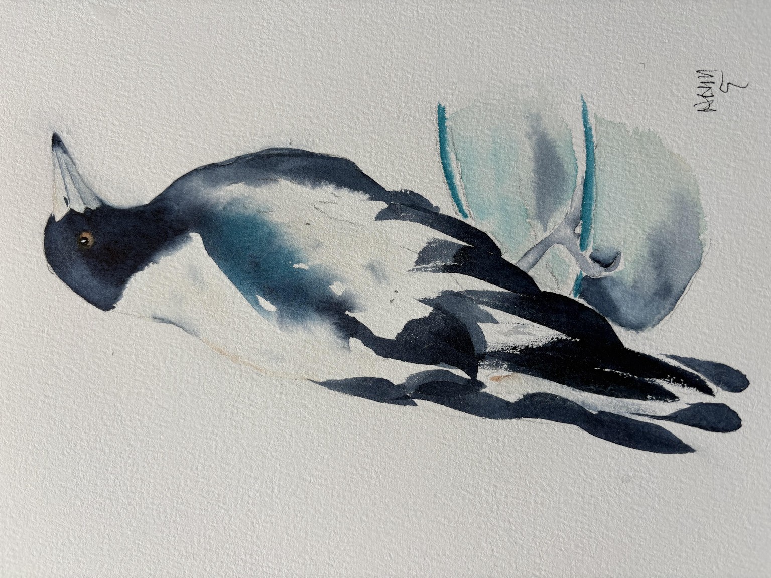 Magpie - image 2 - student project