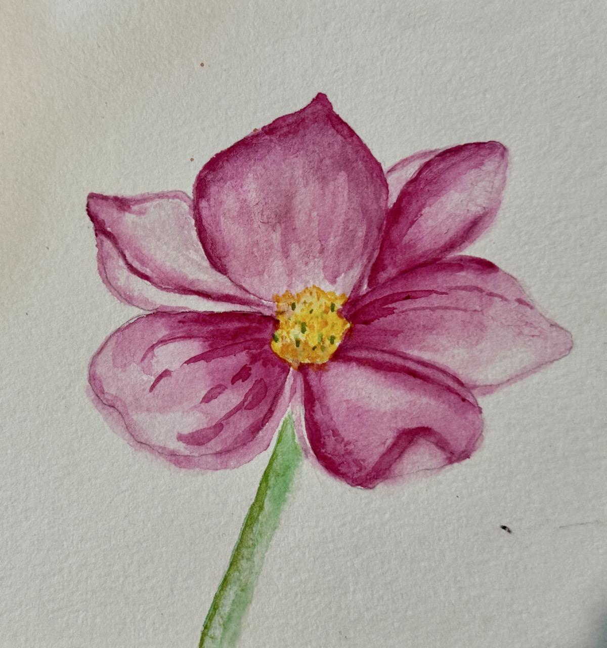 Petals Simplified - image 1 - student project