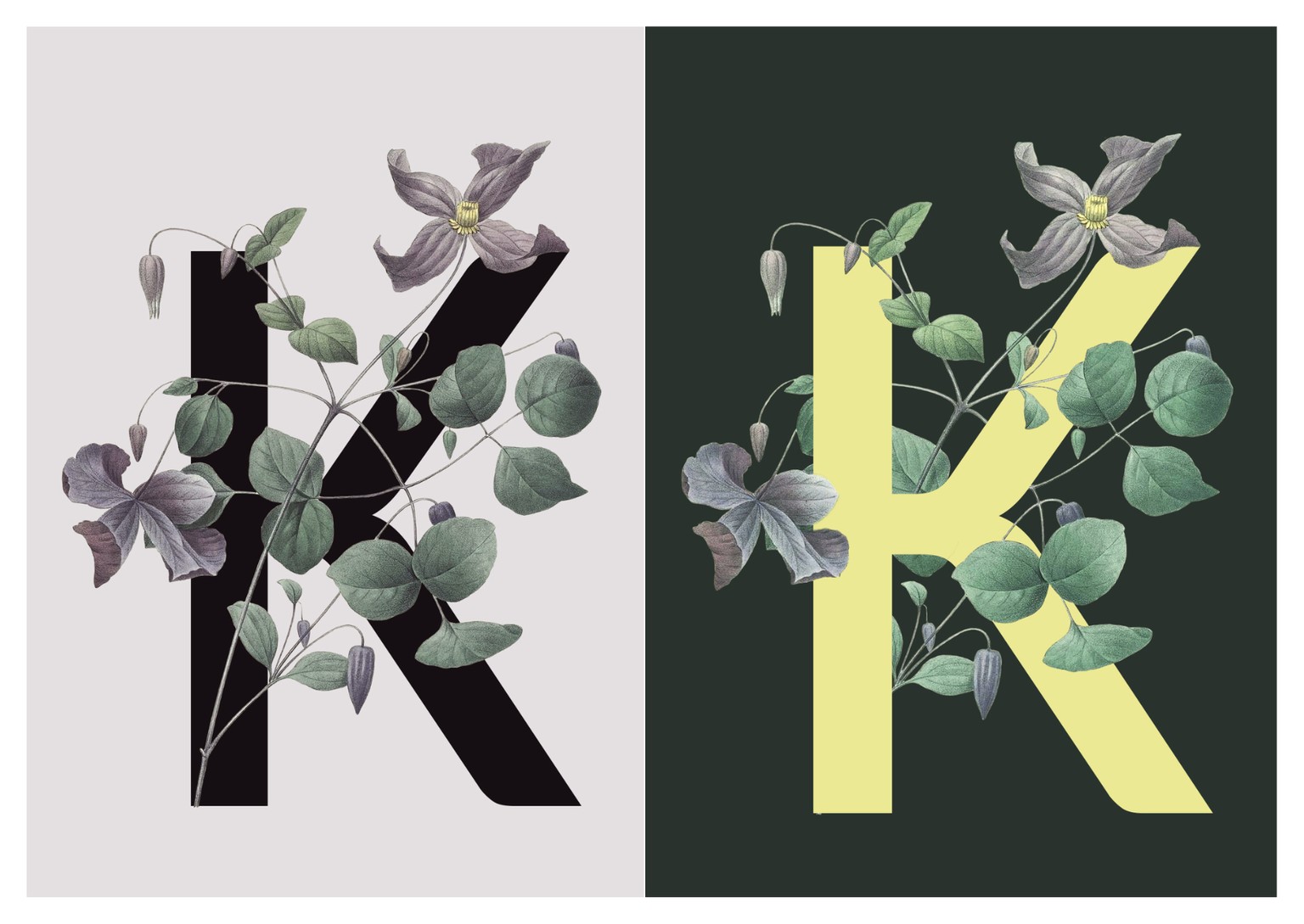 Botanical Design Exploration - image 3 - student project