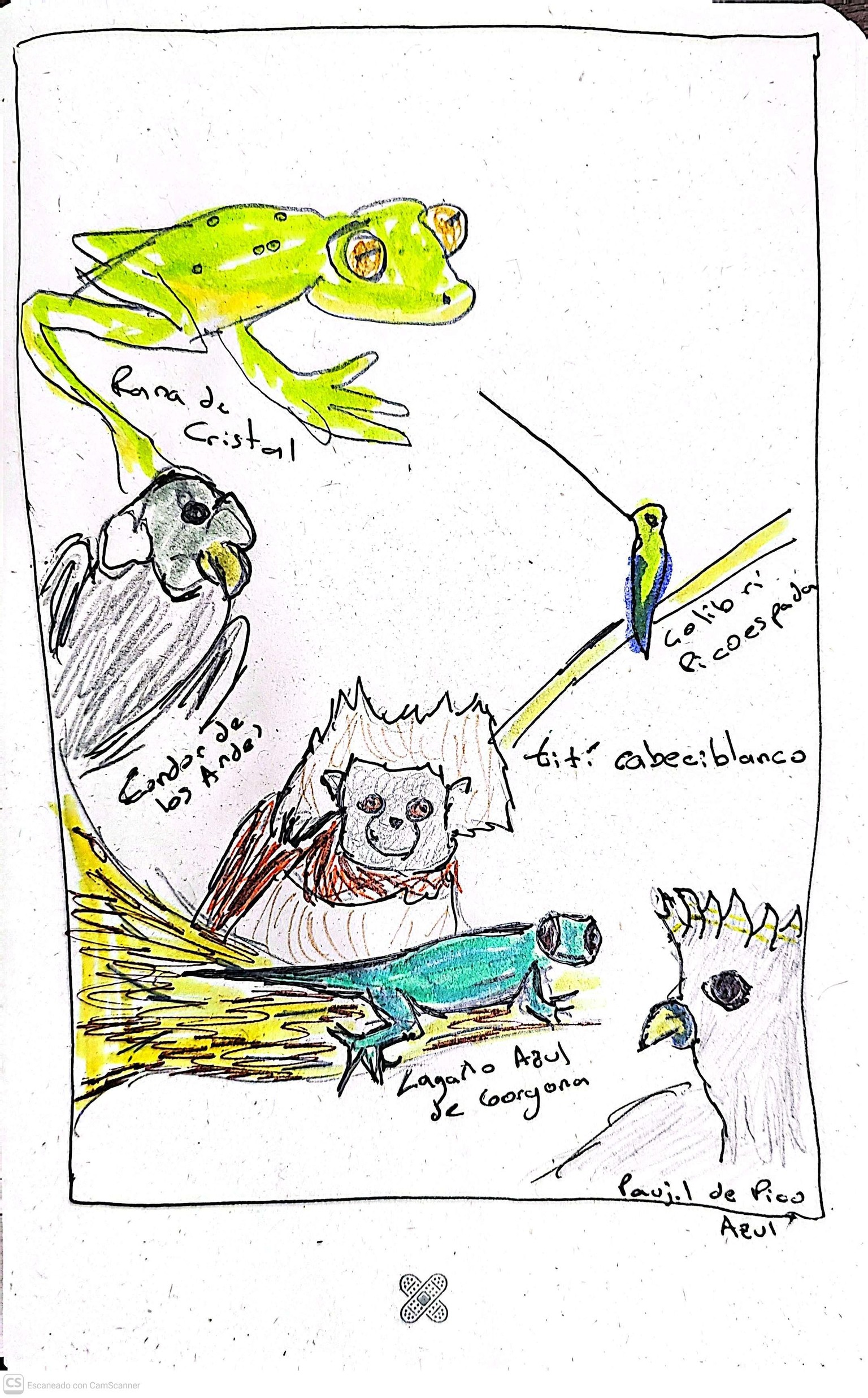 Comenzar, feo pero feliz - image 6 - student project