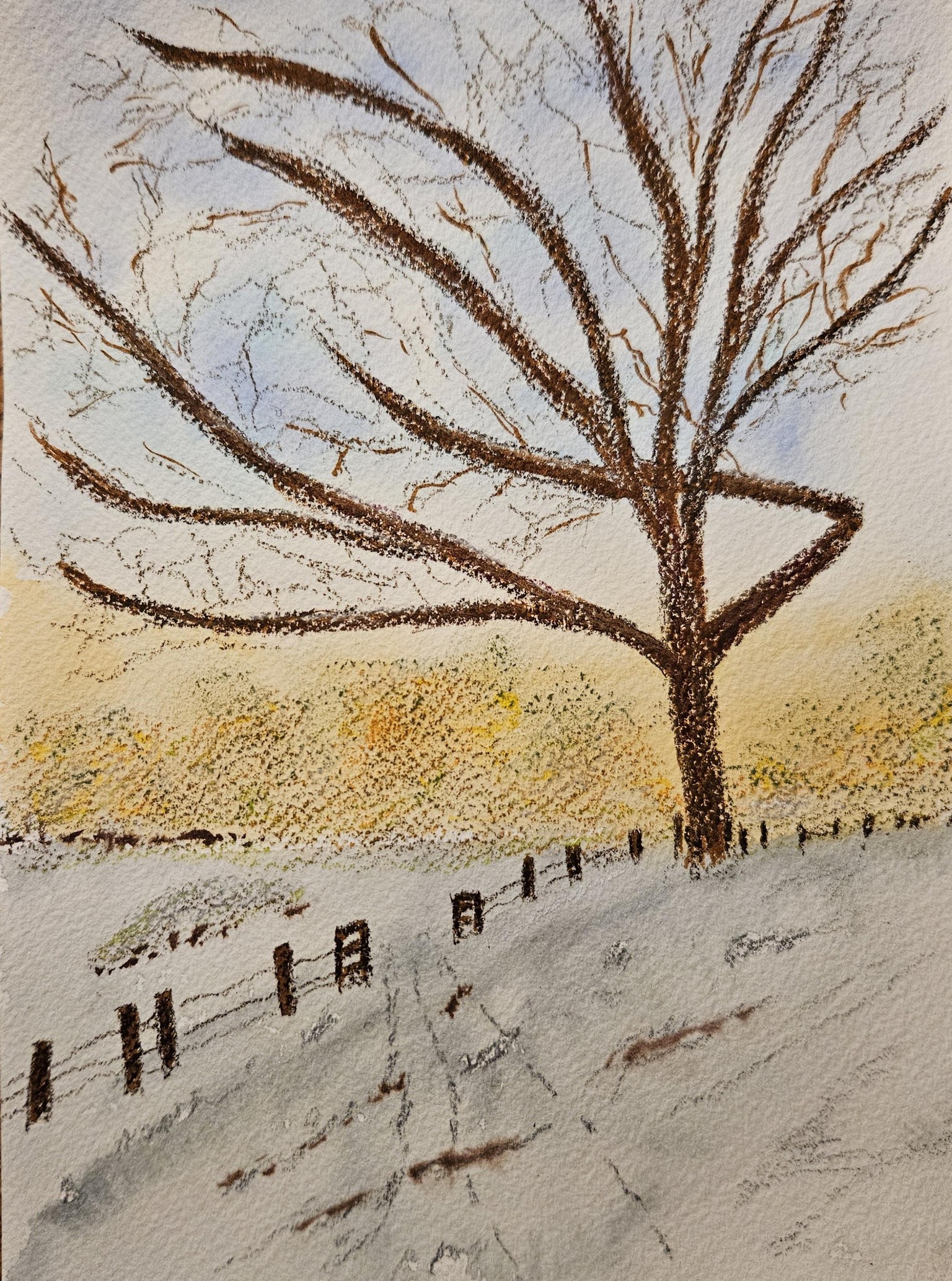 W/c and pencil - image 1 - student project