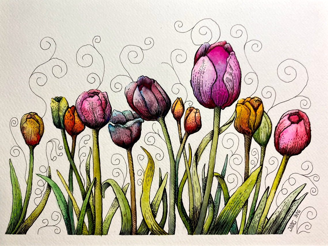Watercolor with Pen & Ink Tulips - image 1 - student project