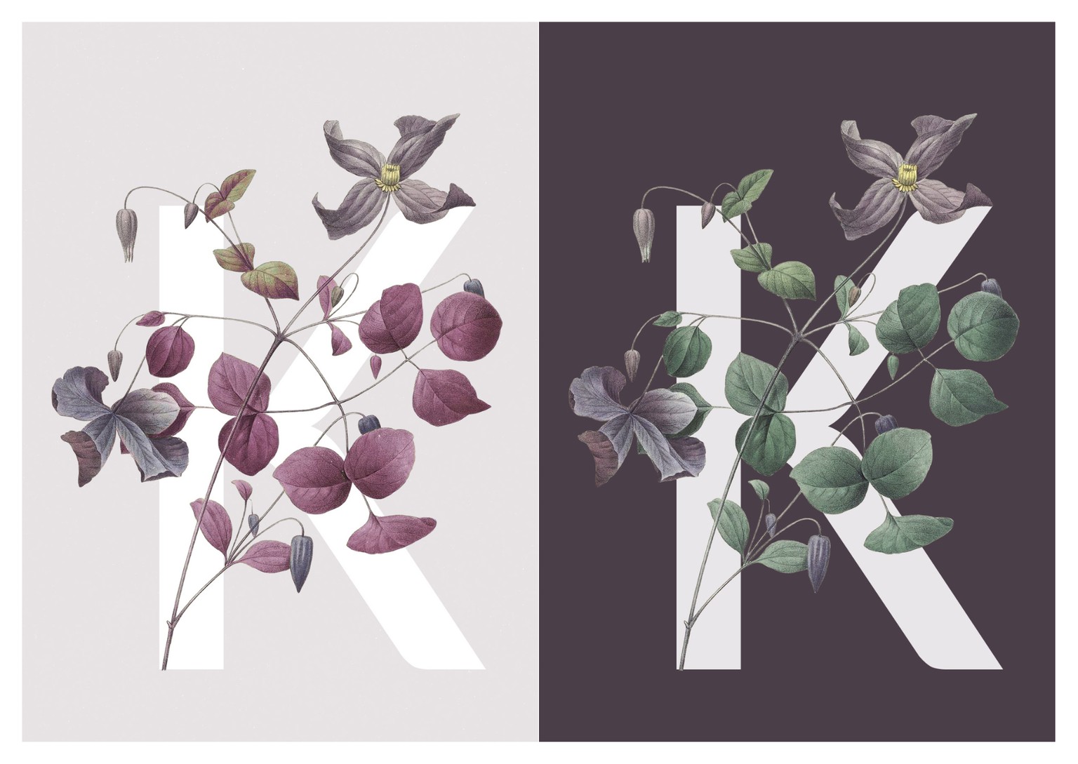 Botanical Design Exploration - image 6 - student project