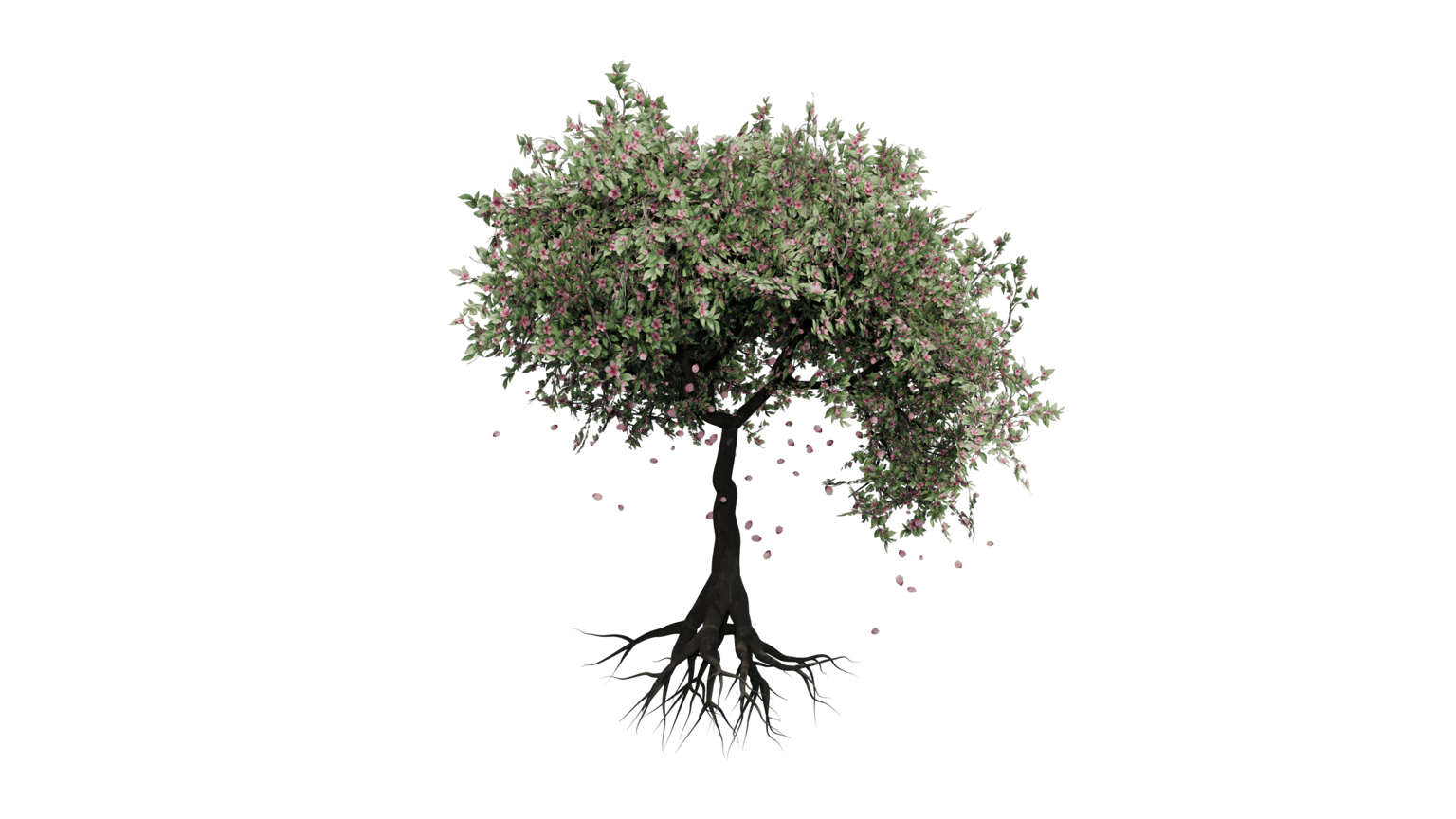 Procedural 3D Tree with Geometry Nodes - image 5 - student project