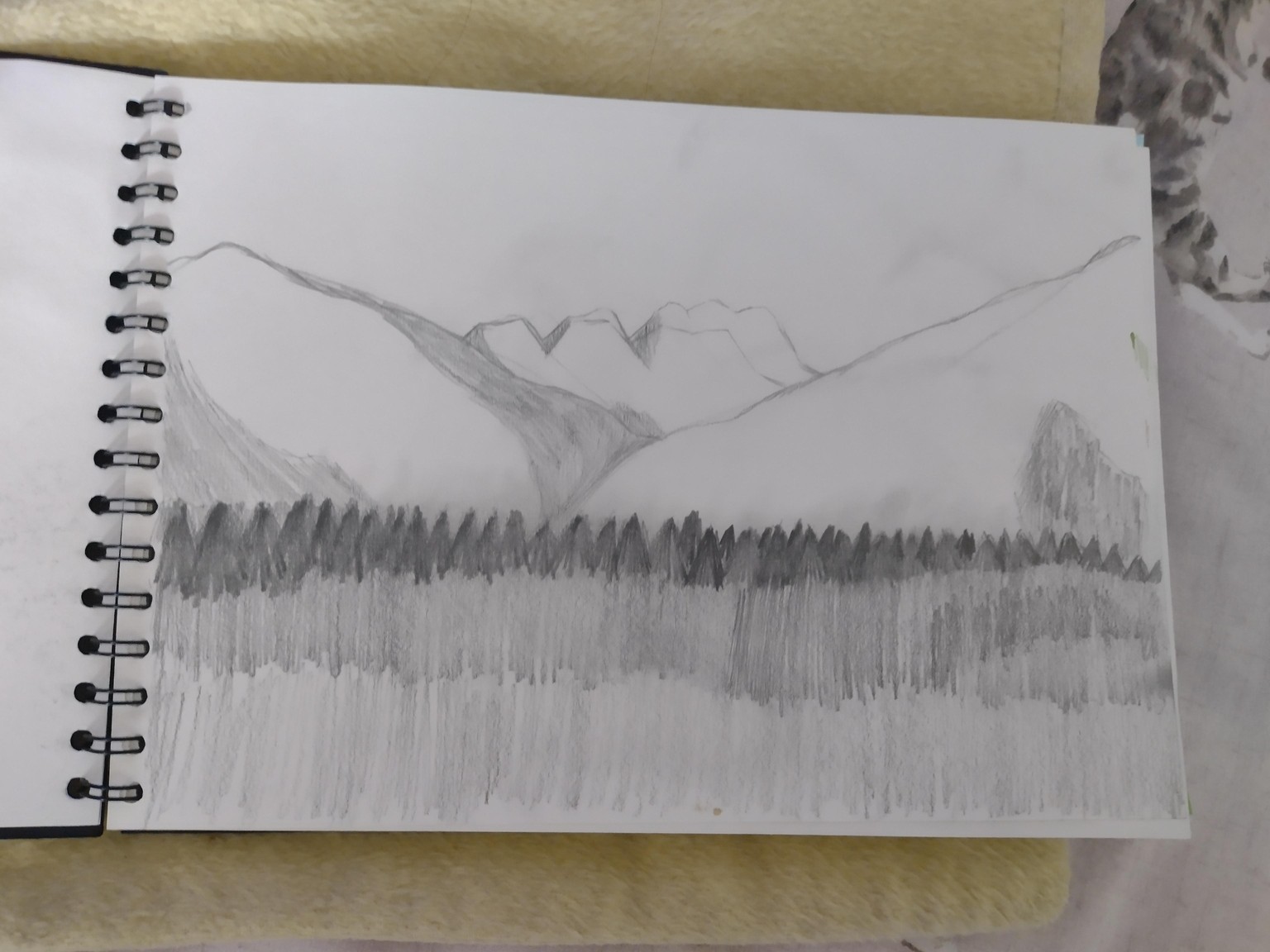 Draw and Painting Rocks - image 4 - student project