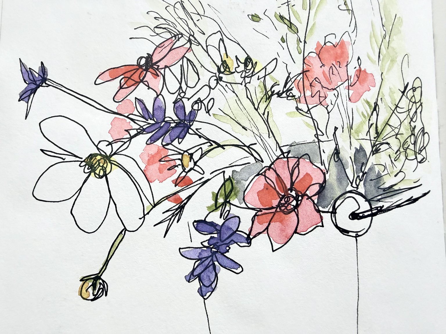 Flowers from my garden - image 3 - student project