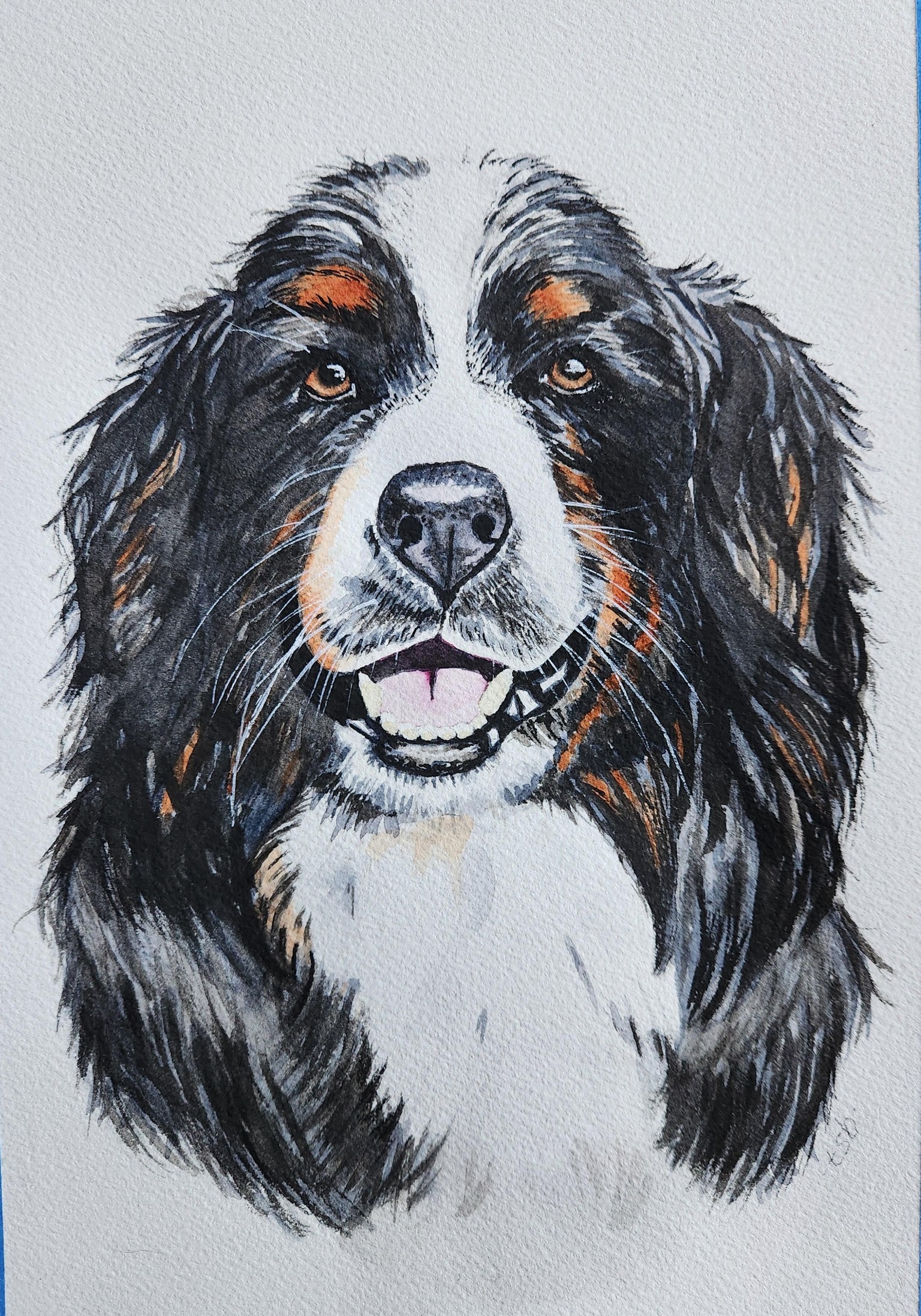 Bernie - image 2 - student project