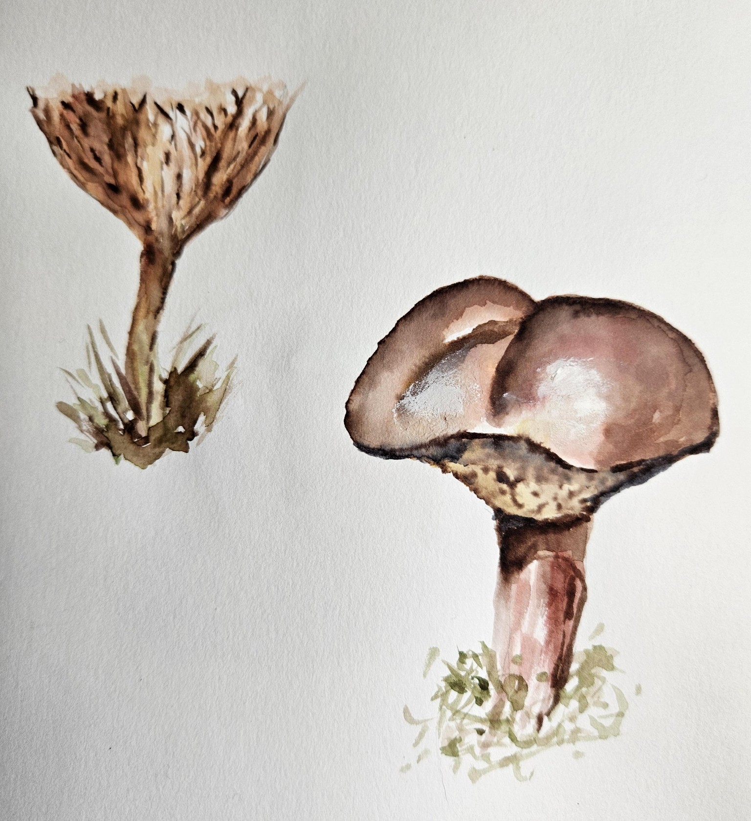 Mushrooms with markers - image 1 - student project
