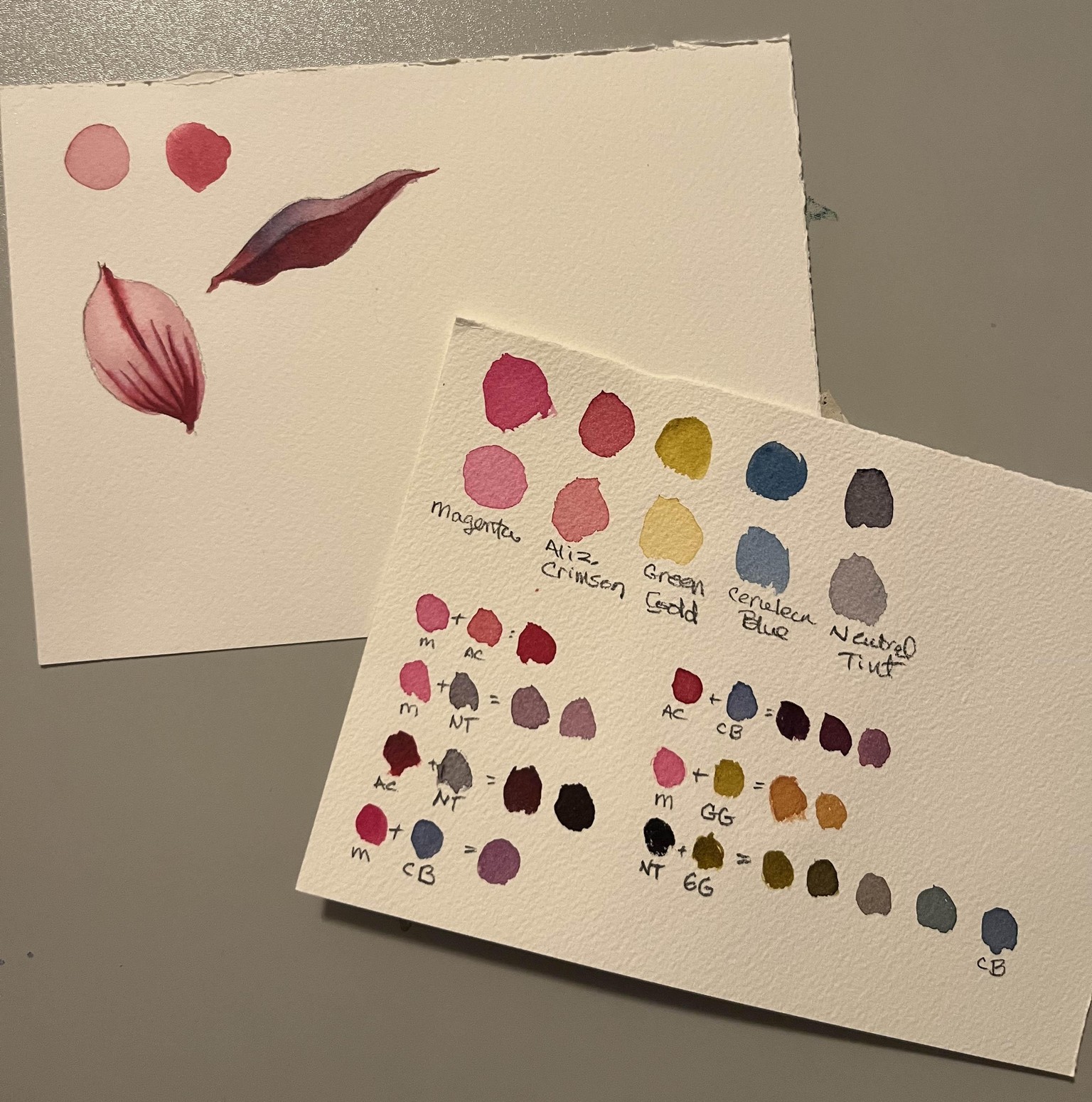 Magnolia Flowers - image 4 - student project