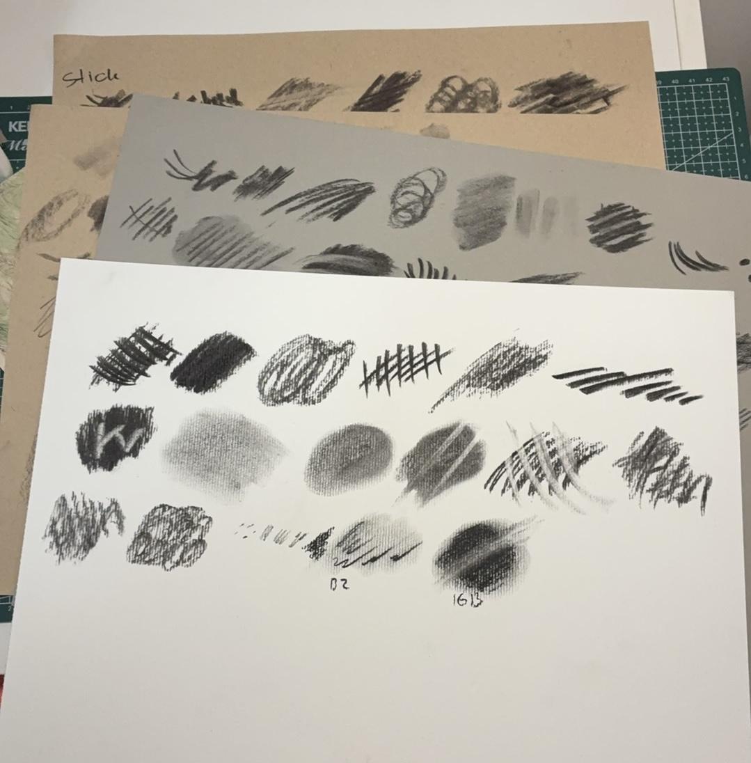 Learning Charcoal - Pumkin Practice - image 1 - student project