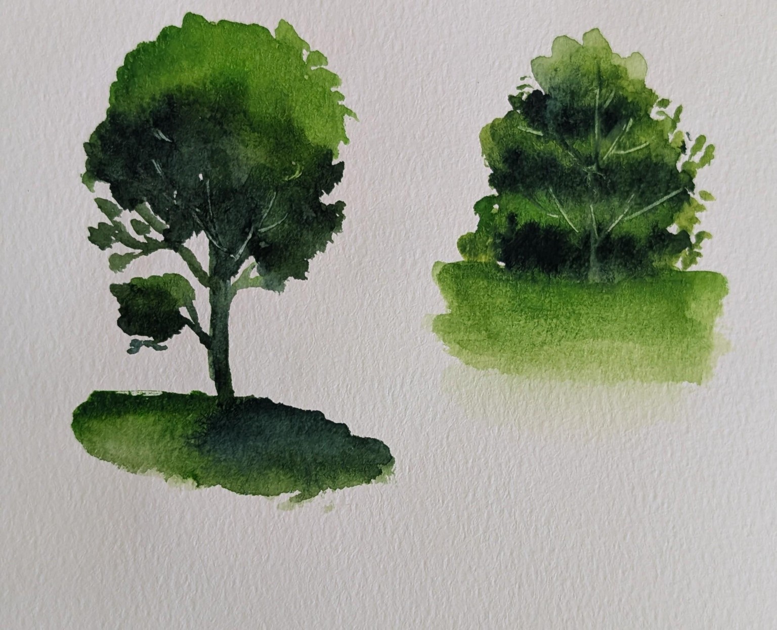 Loose Watercolor Trees - image 4 - student project