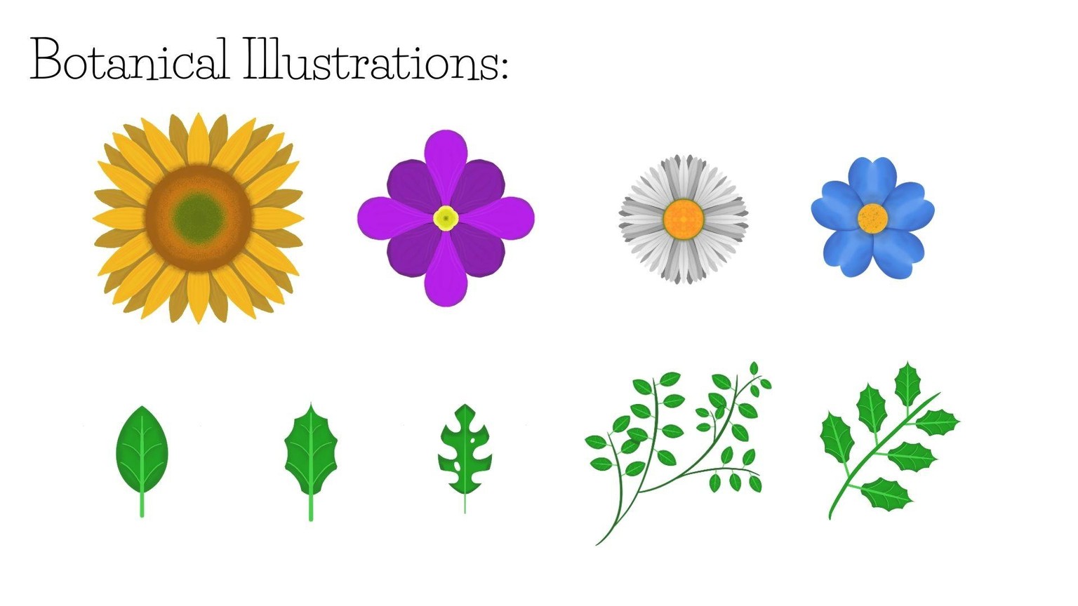 Botanical Design Project - image 2 - student project