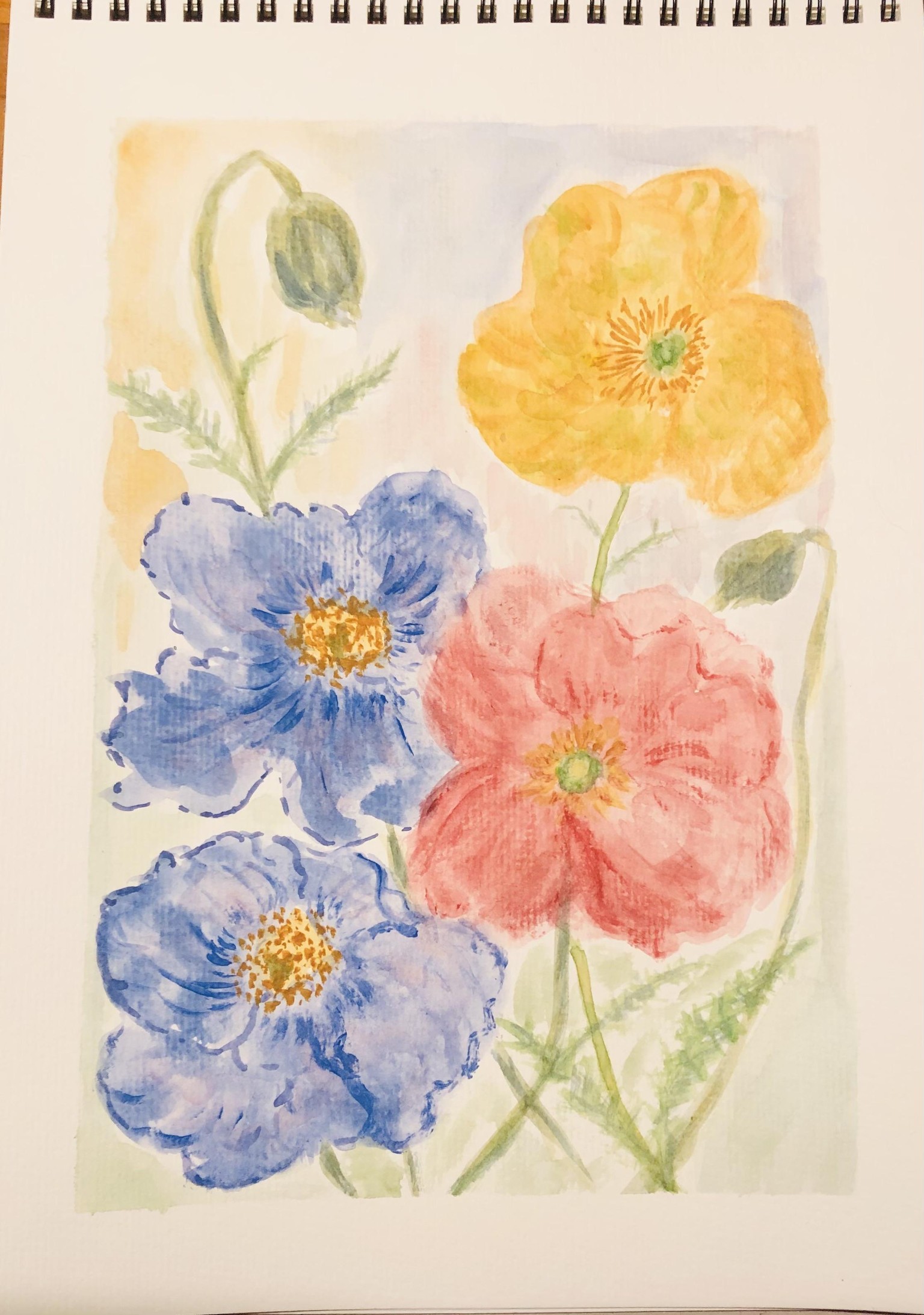 My Interpretation of Poppies - image 1 - student project