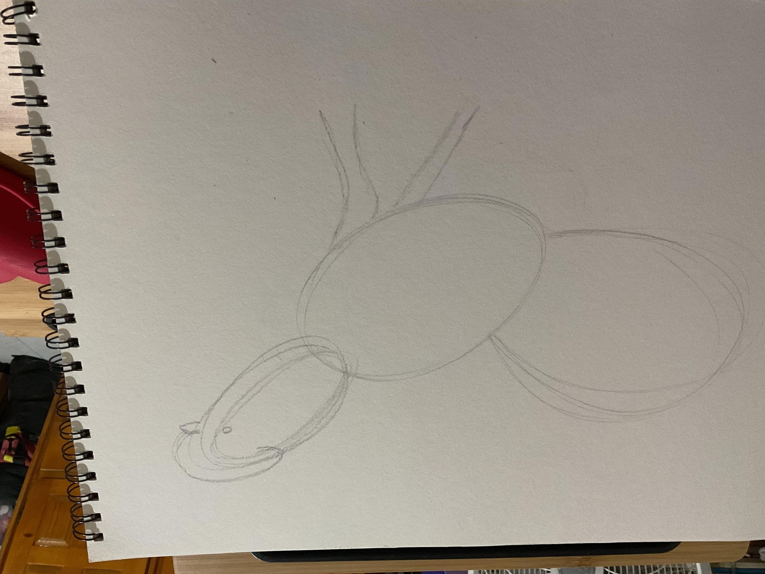 Drawing for Beginners - image 3 - student project