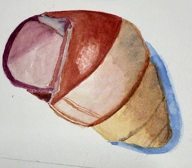Shells - image 4 - student project