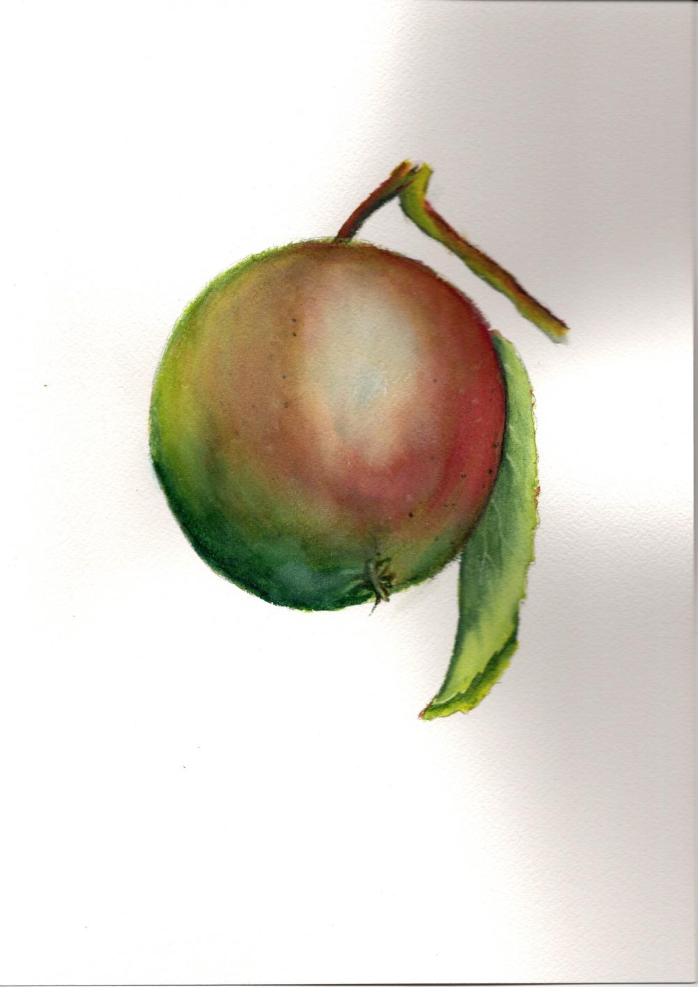 Apples - image 3 - student project