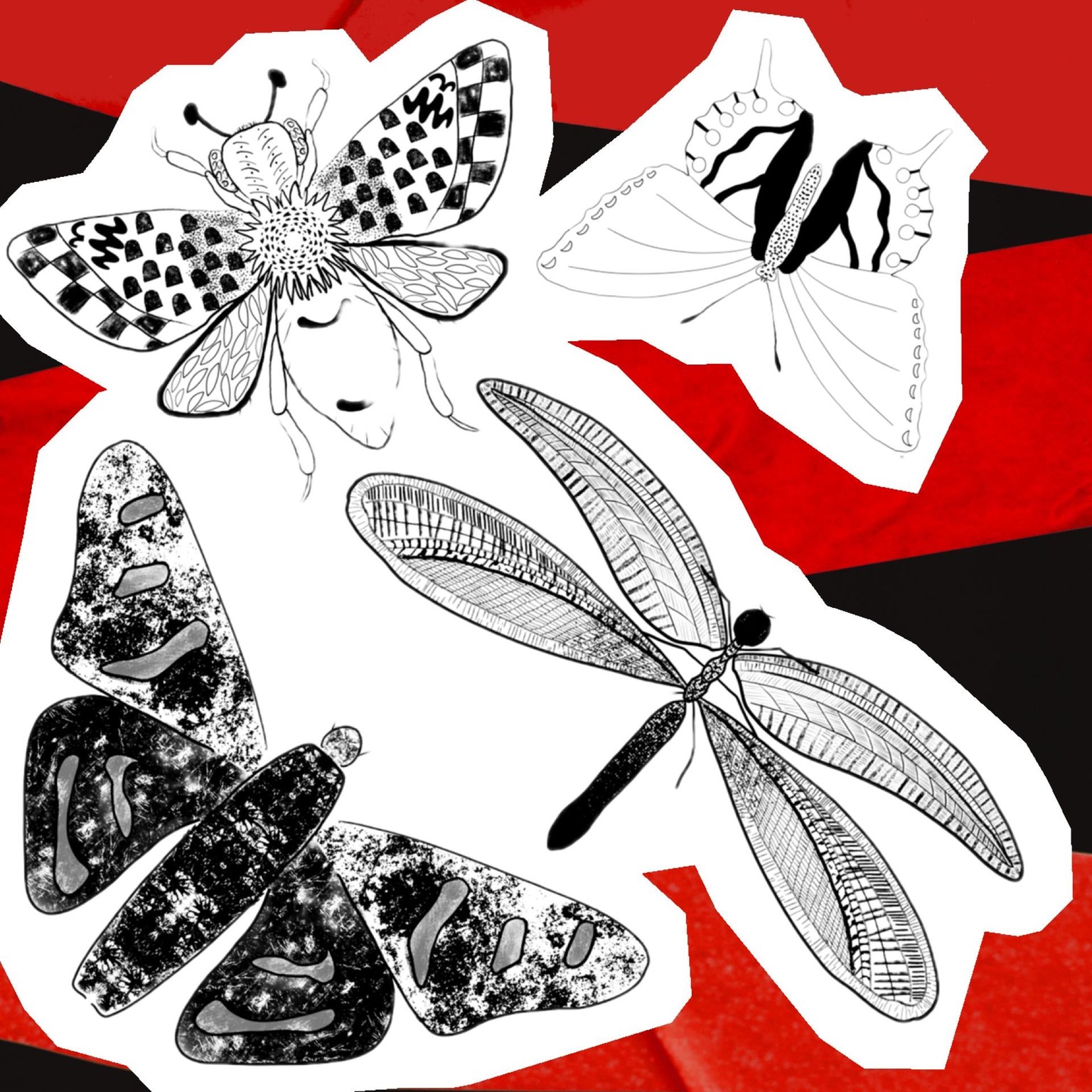 Bitten by the bug - image 7 - student project