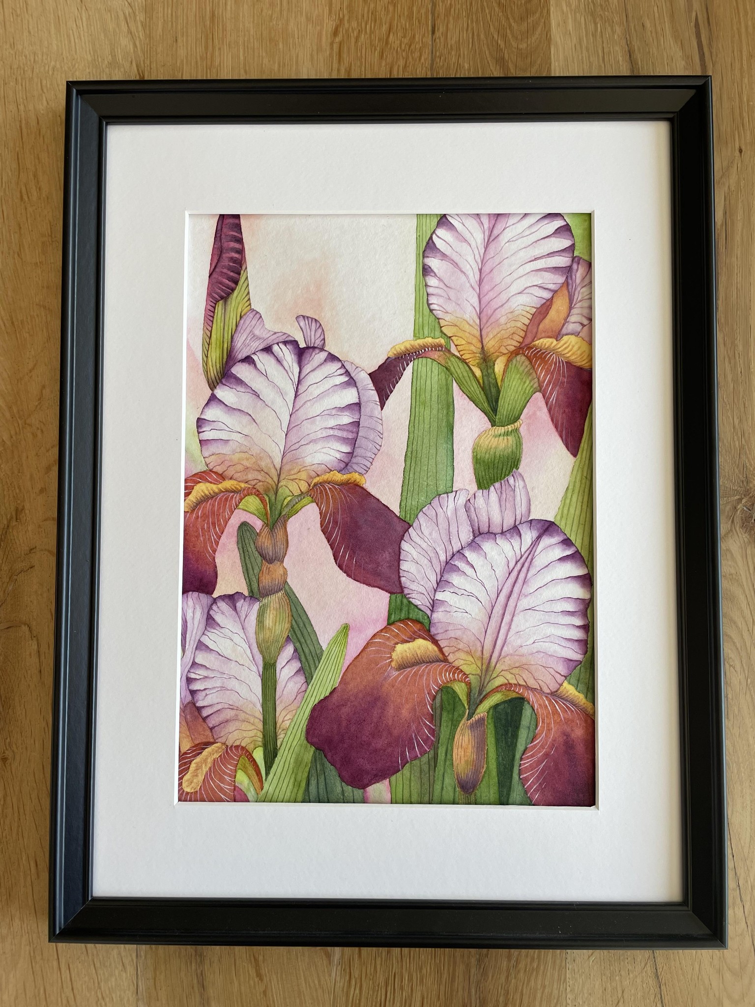 Bearded irises in watercolours - image 1 - student project