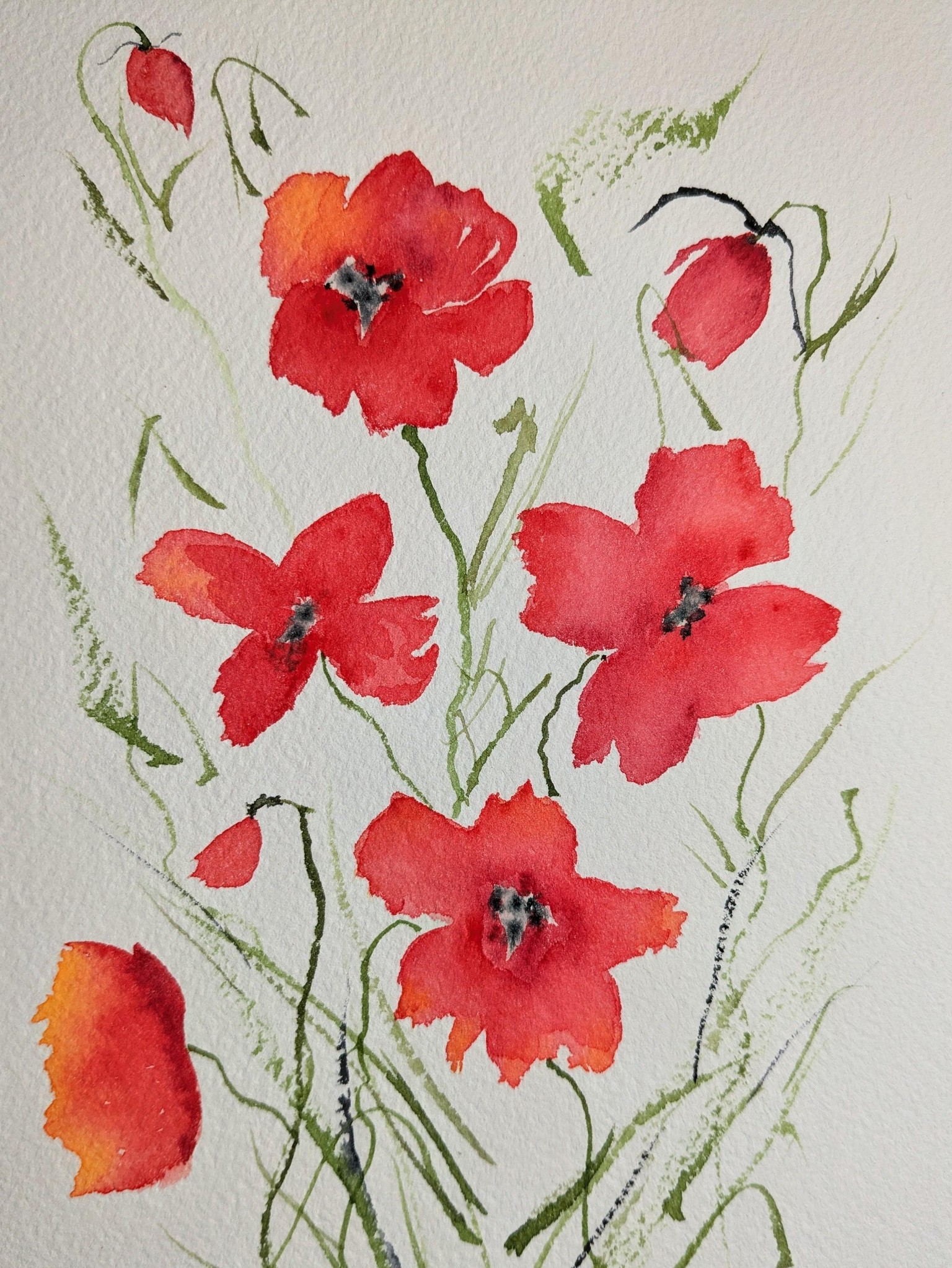 Practice with Whimsical Watercolor Poppies - image 1 - student project