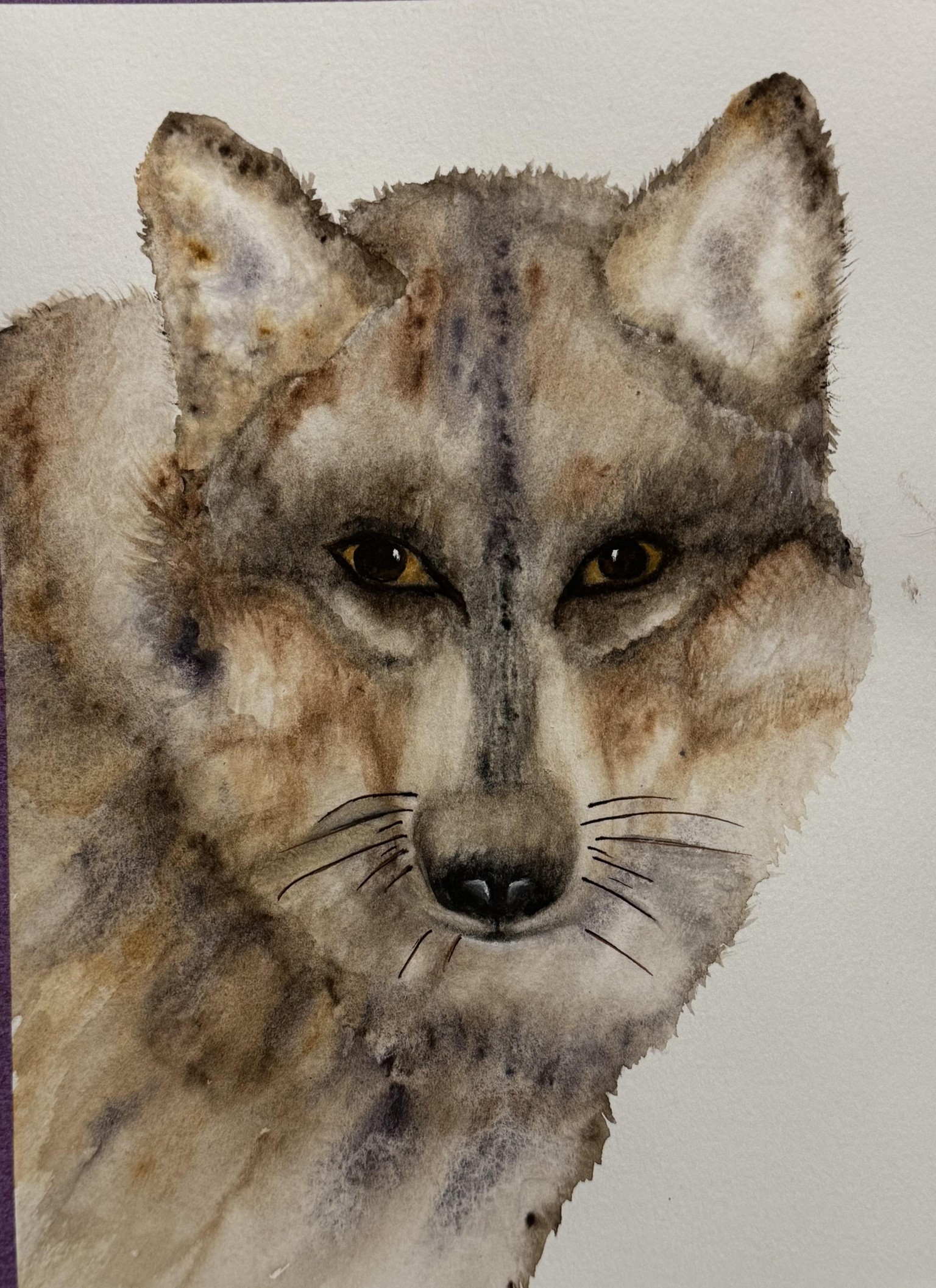 Wolf - image 1 - student project