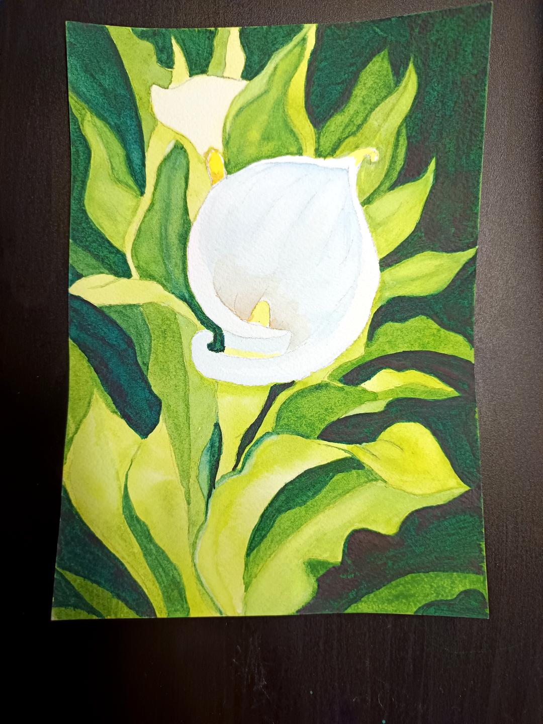Lily - image 3 - student project