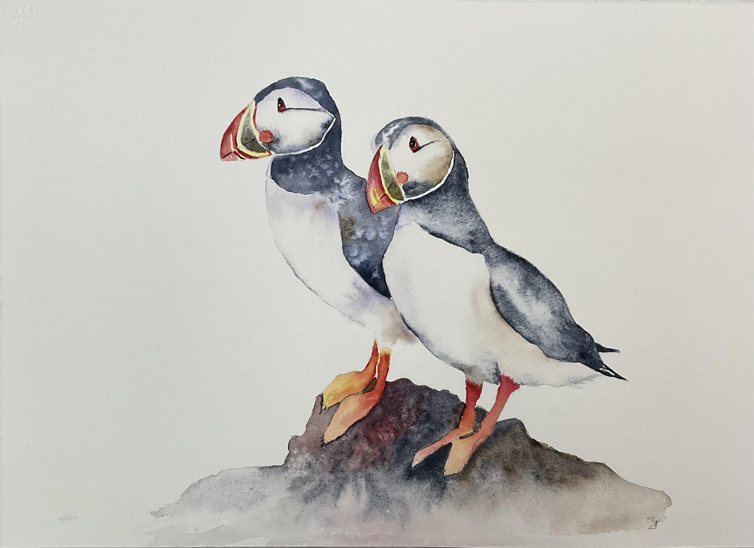 Puffins! - image 1 - student project