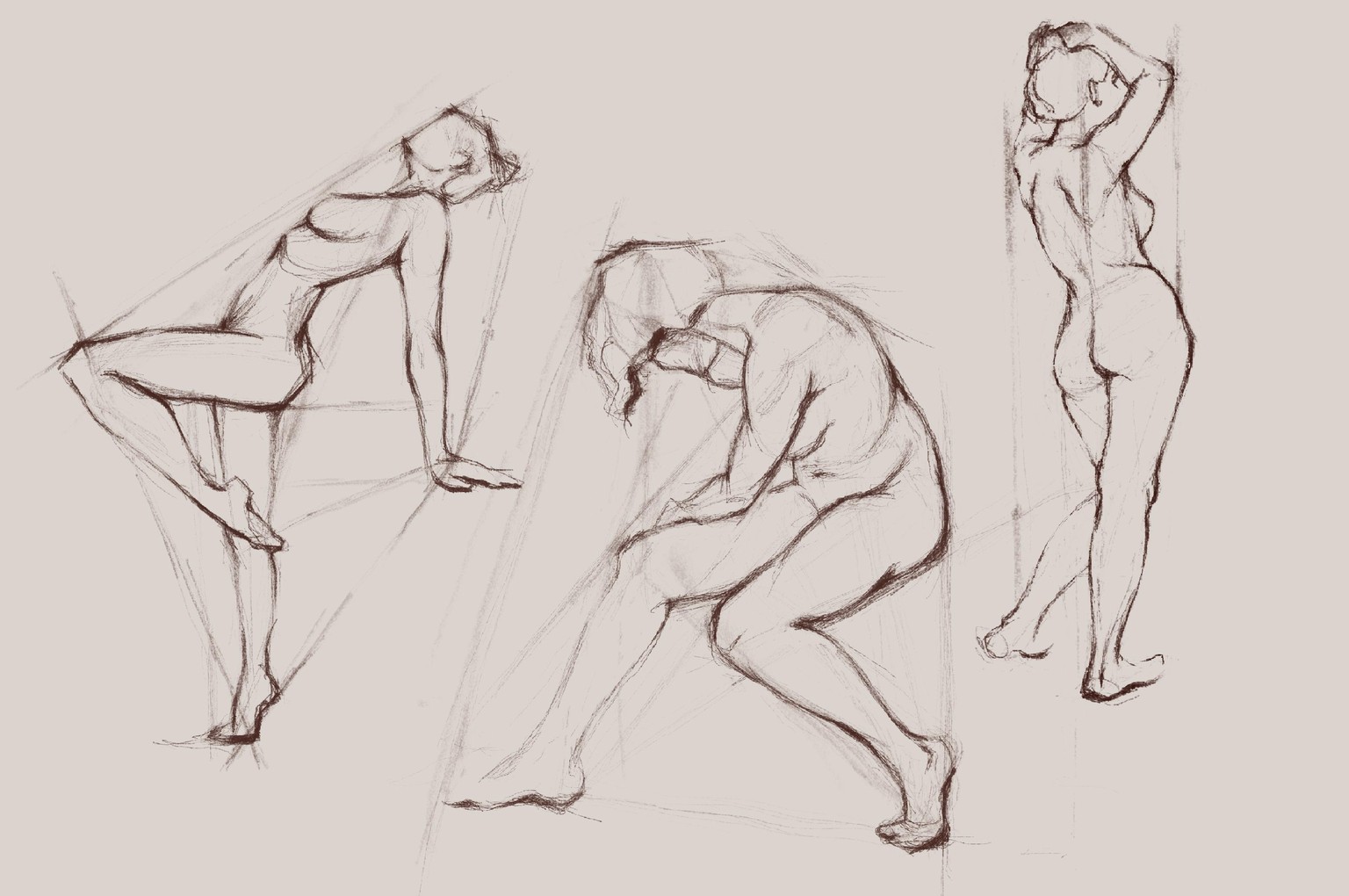 Proportion Study - image 1 - student project