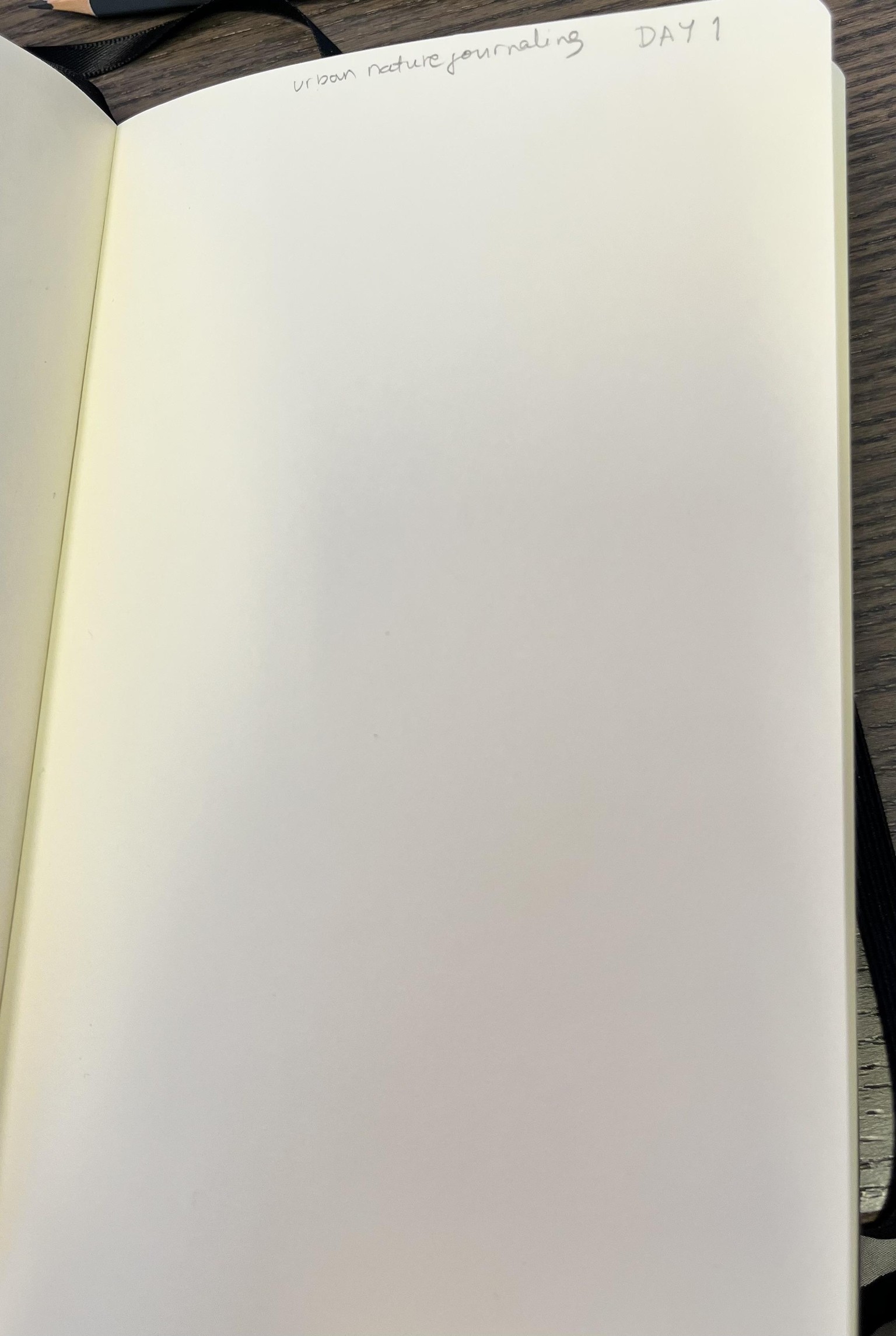My prepped sketchbook to keep me playful - image 3 - student project