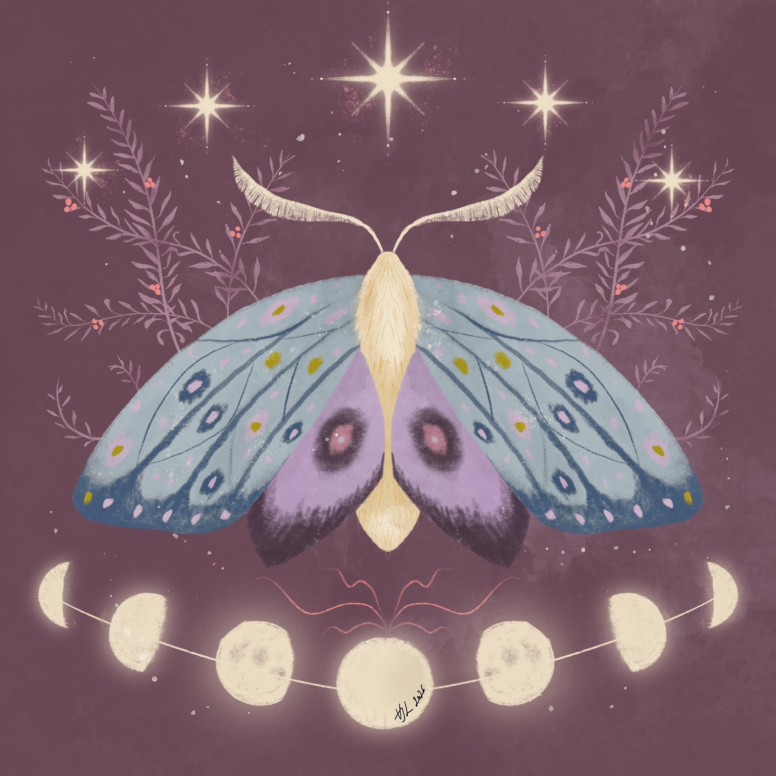 Moth no 1 - image 1 - student project