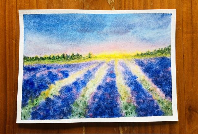 Lavendar Field in the Morning Sun - image 1 - student project