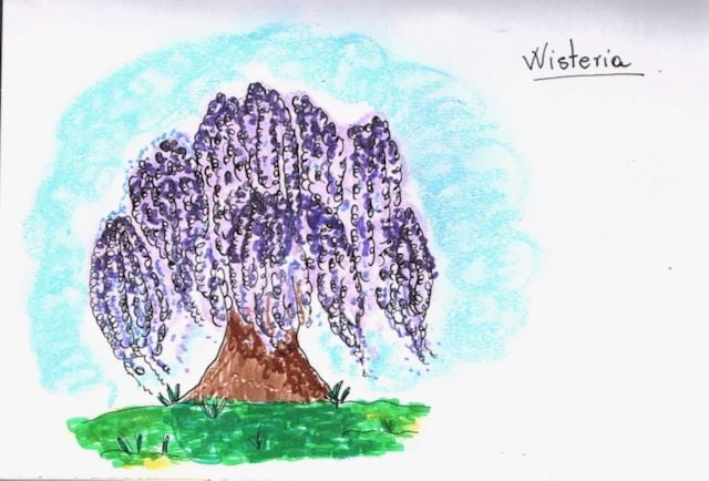 Some colored trees - image 1 - student project