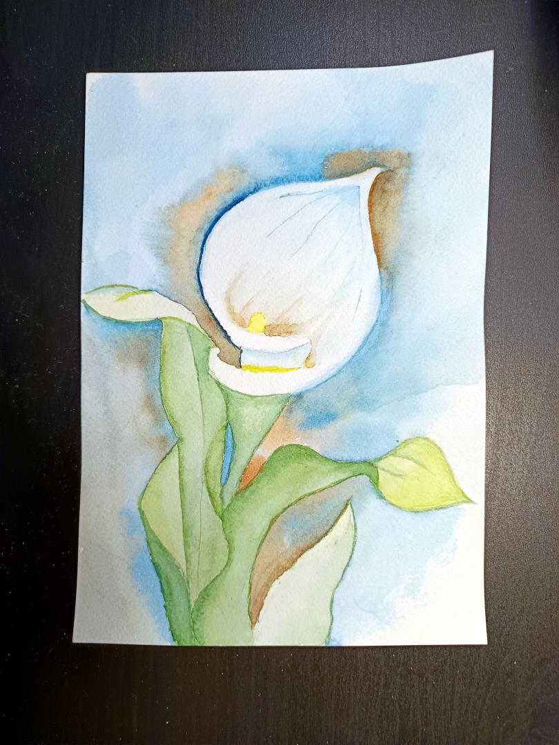 Lily - image 1 - student project