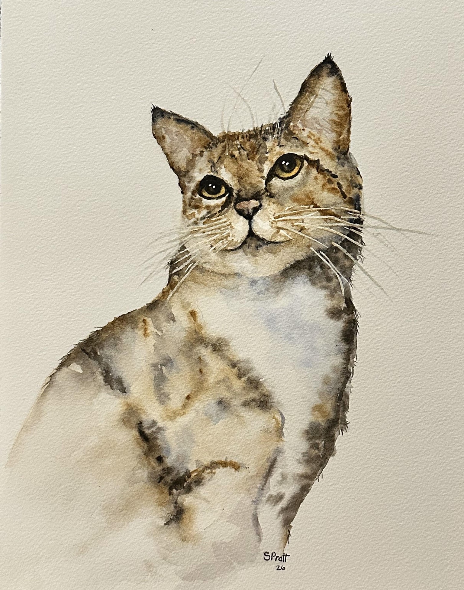 Cat Free flow - image 1 - student project