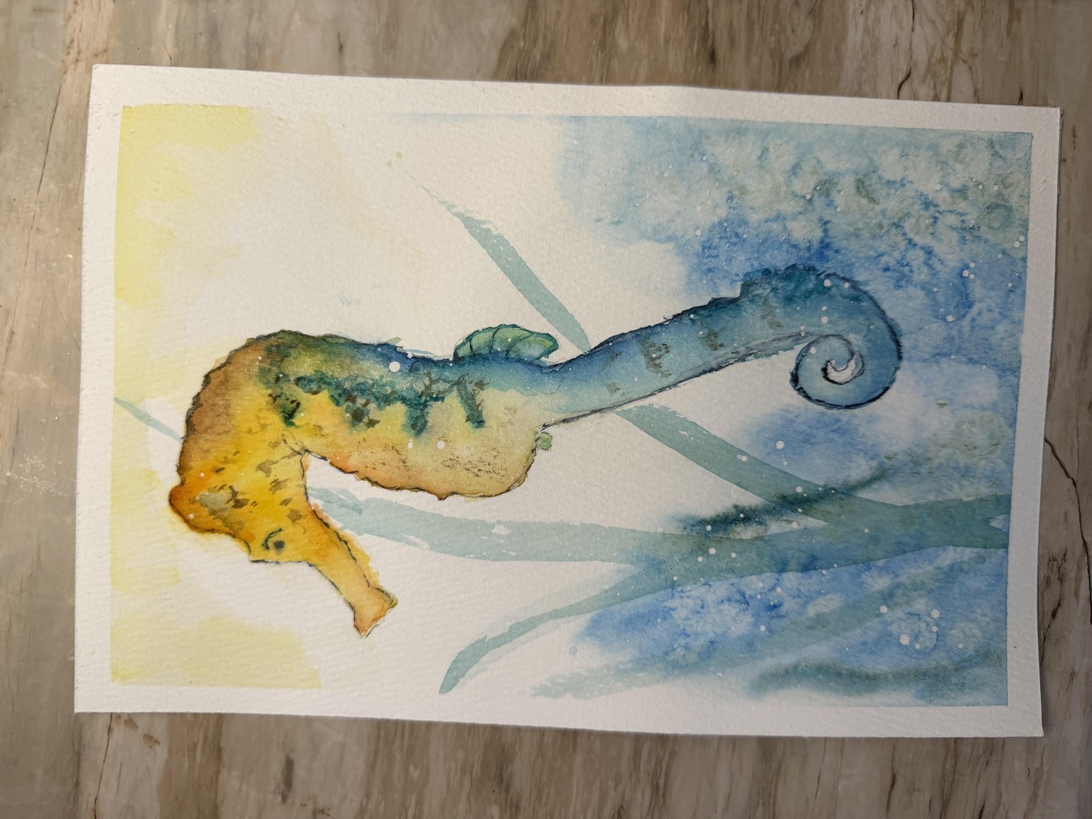 Seahorse - image 1 - student project