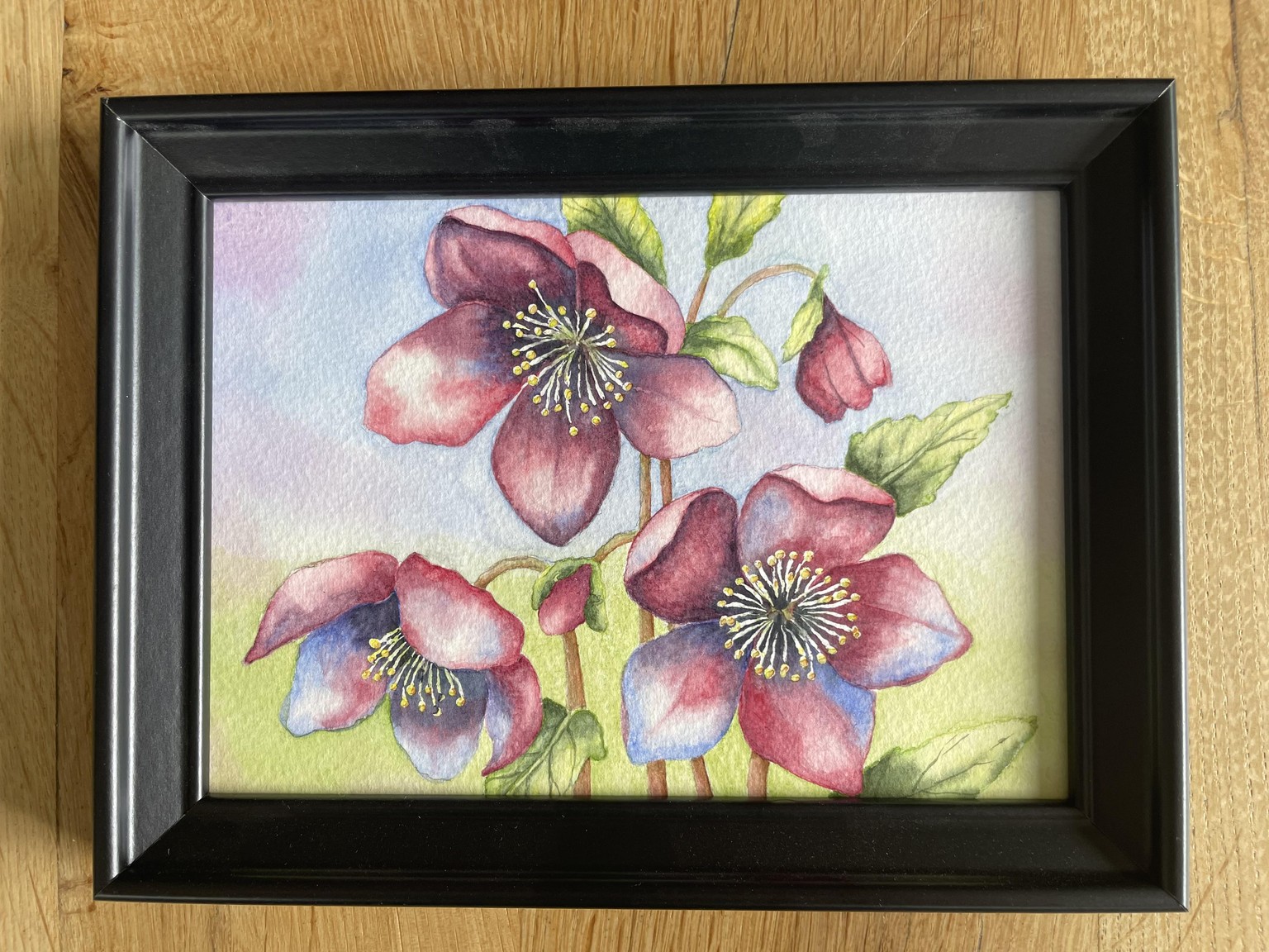 Hellebore flowers in watercolour - image 1 - student project