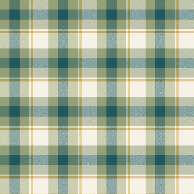 Textured Tartan Plaid, Revisited - image 3 - student project