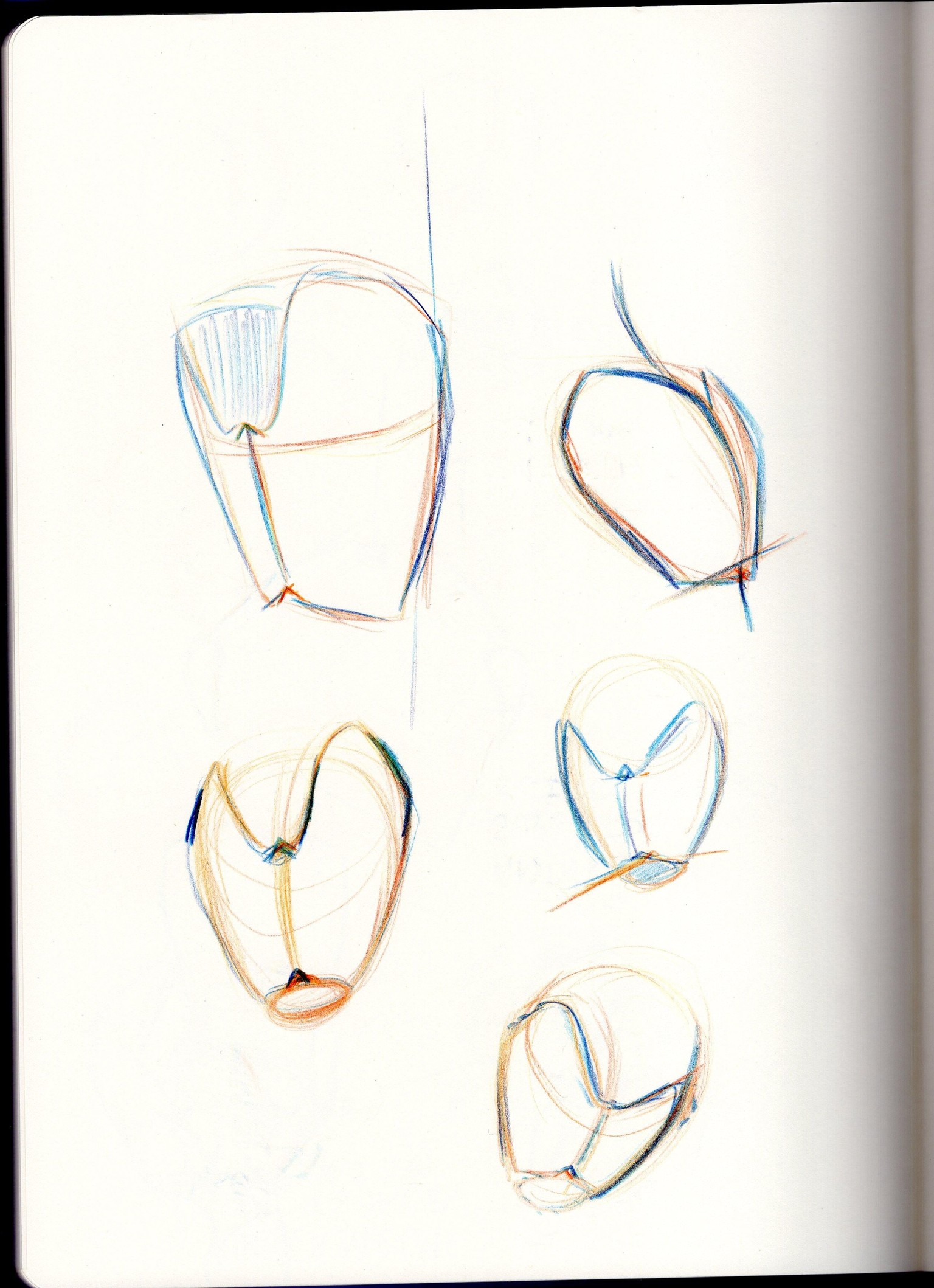This was great! - image 6 - student project