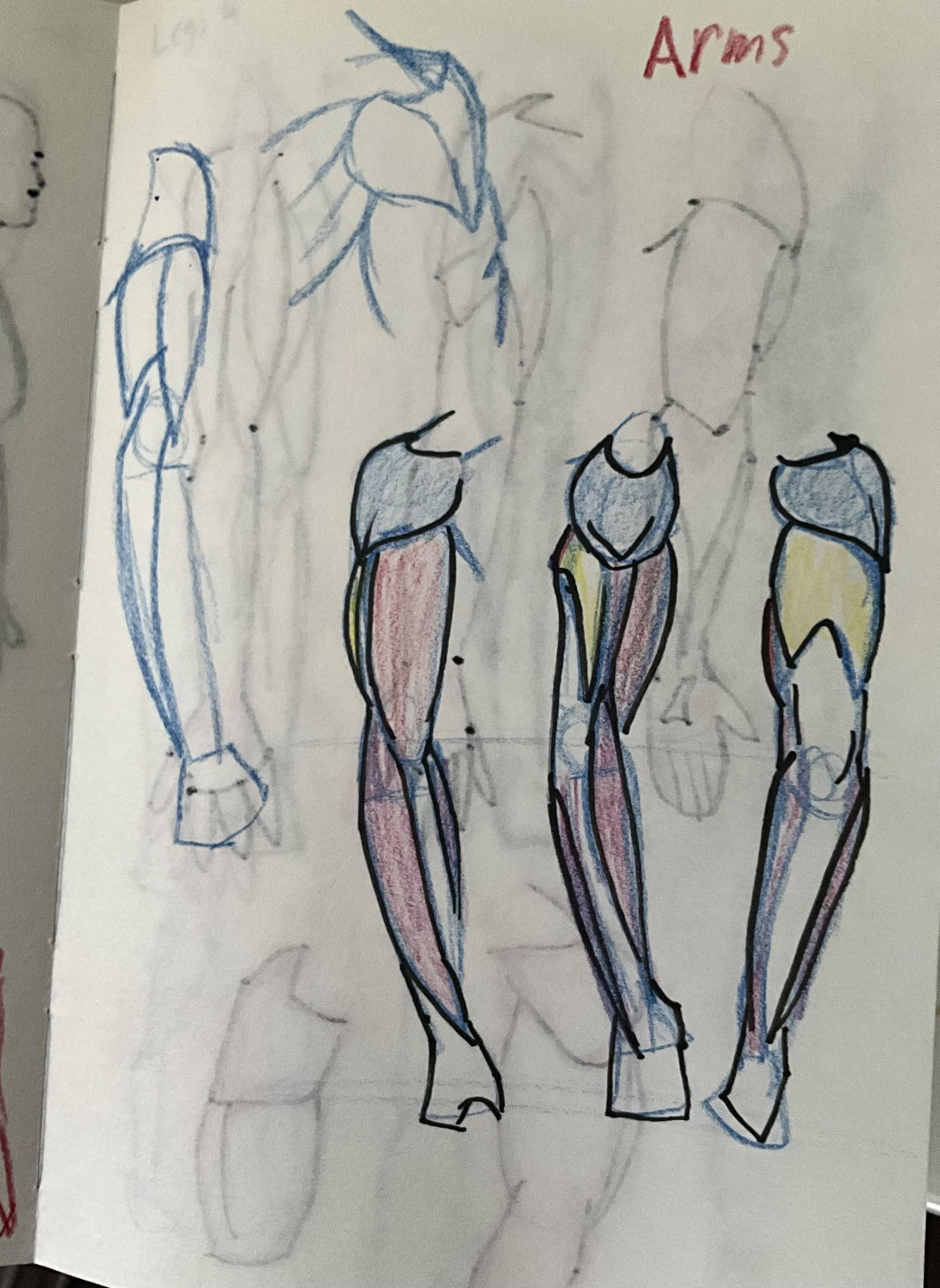 Walk though anatomy - image 2 - student project