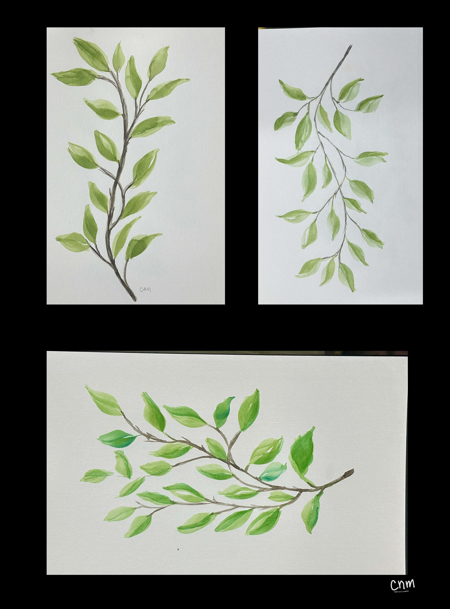 leaves - image 1 - student project