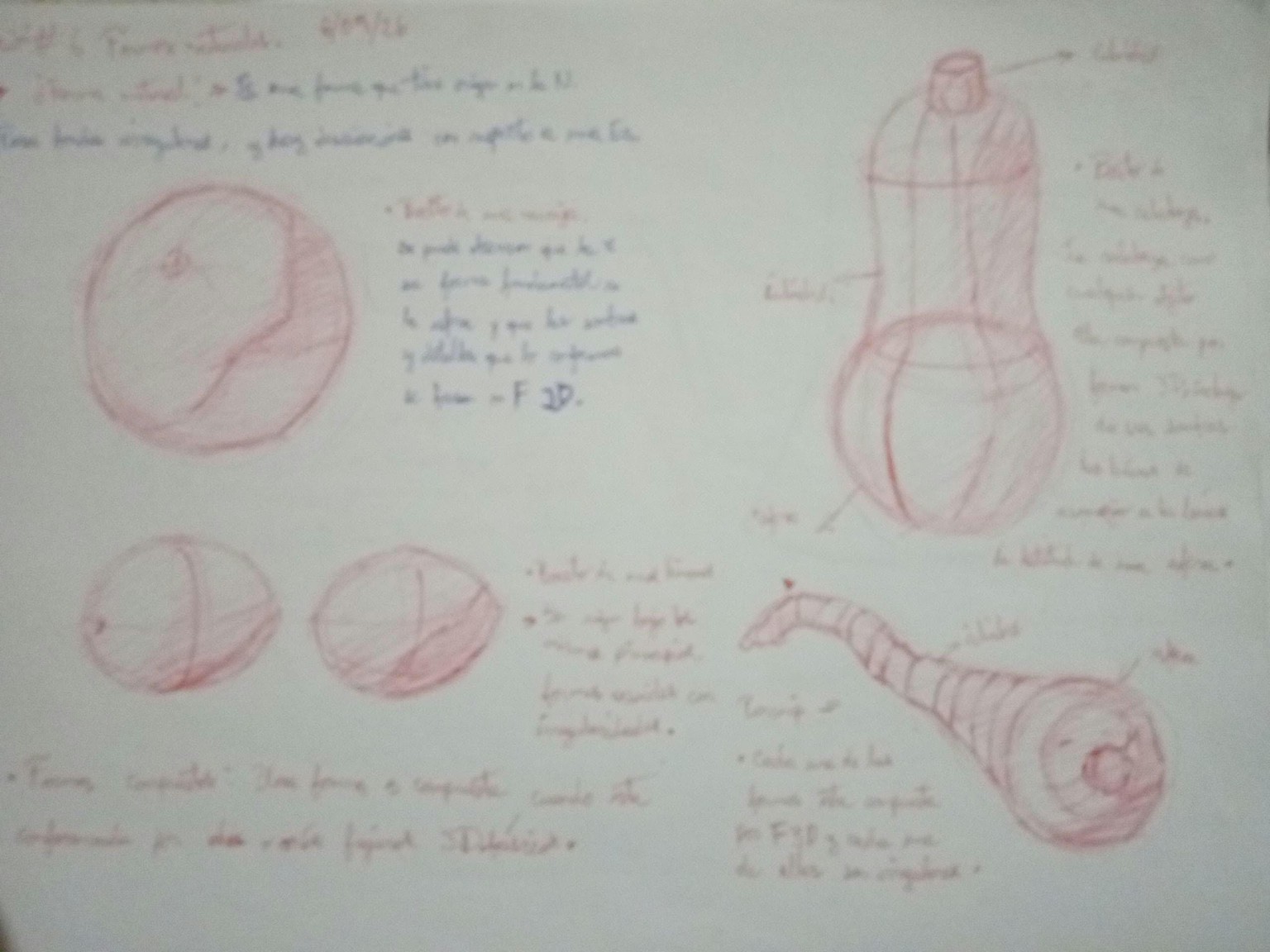 Figuras 3D - image 8 - student project
