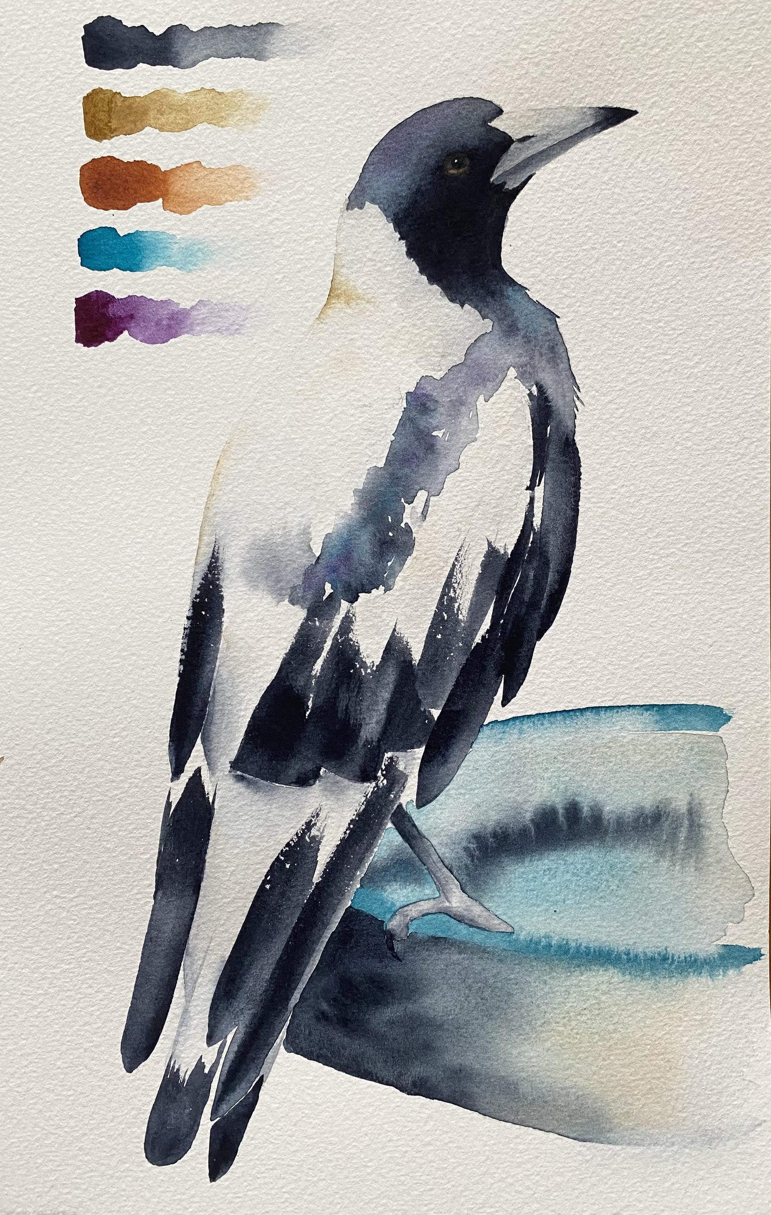 Magpie Watercolour - Letting the Pigment and Water do the Work - image 1 - student project